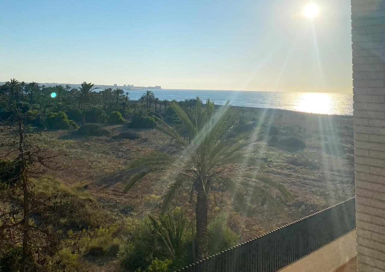 Peaceful Apartment with Sea & Nature Views, Terrace, Pool and Garage