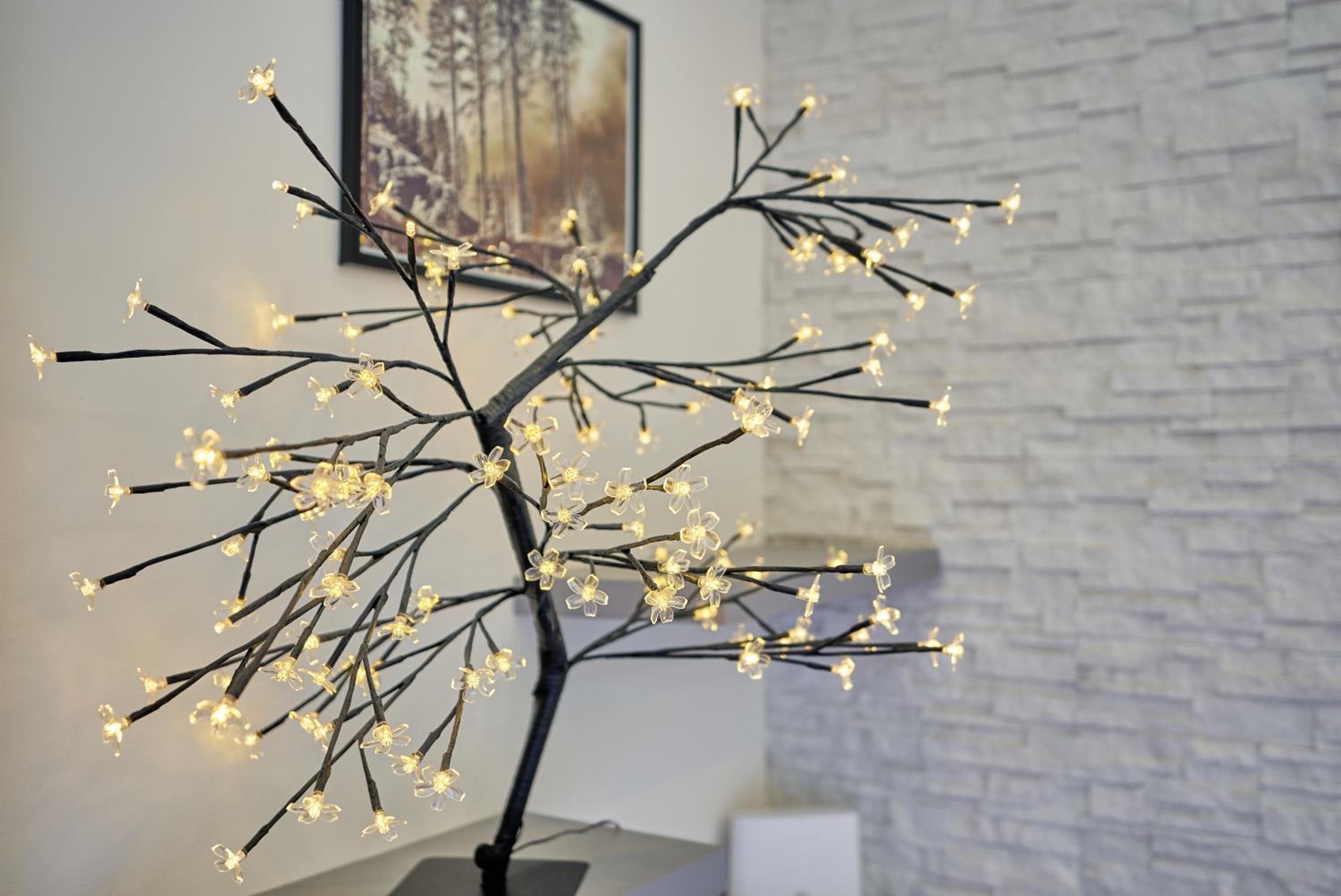 Plešivec - TREE