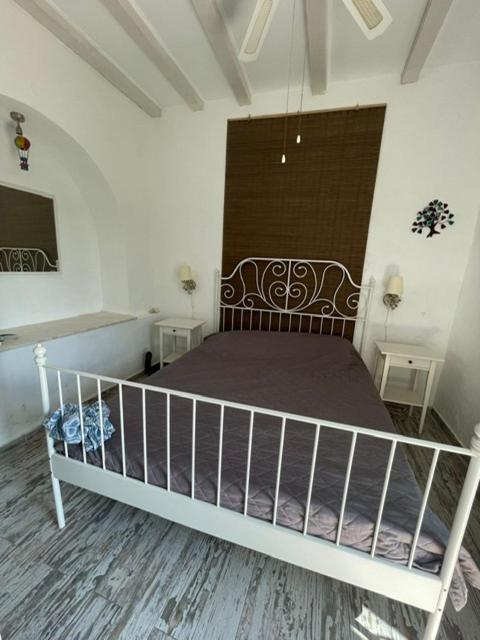 The Old House