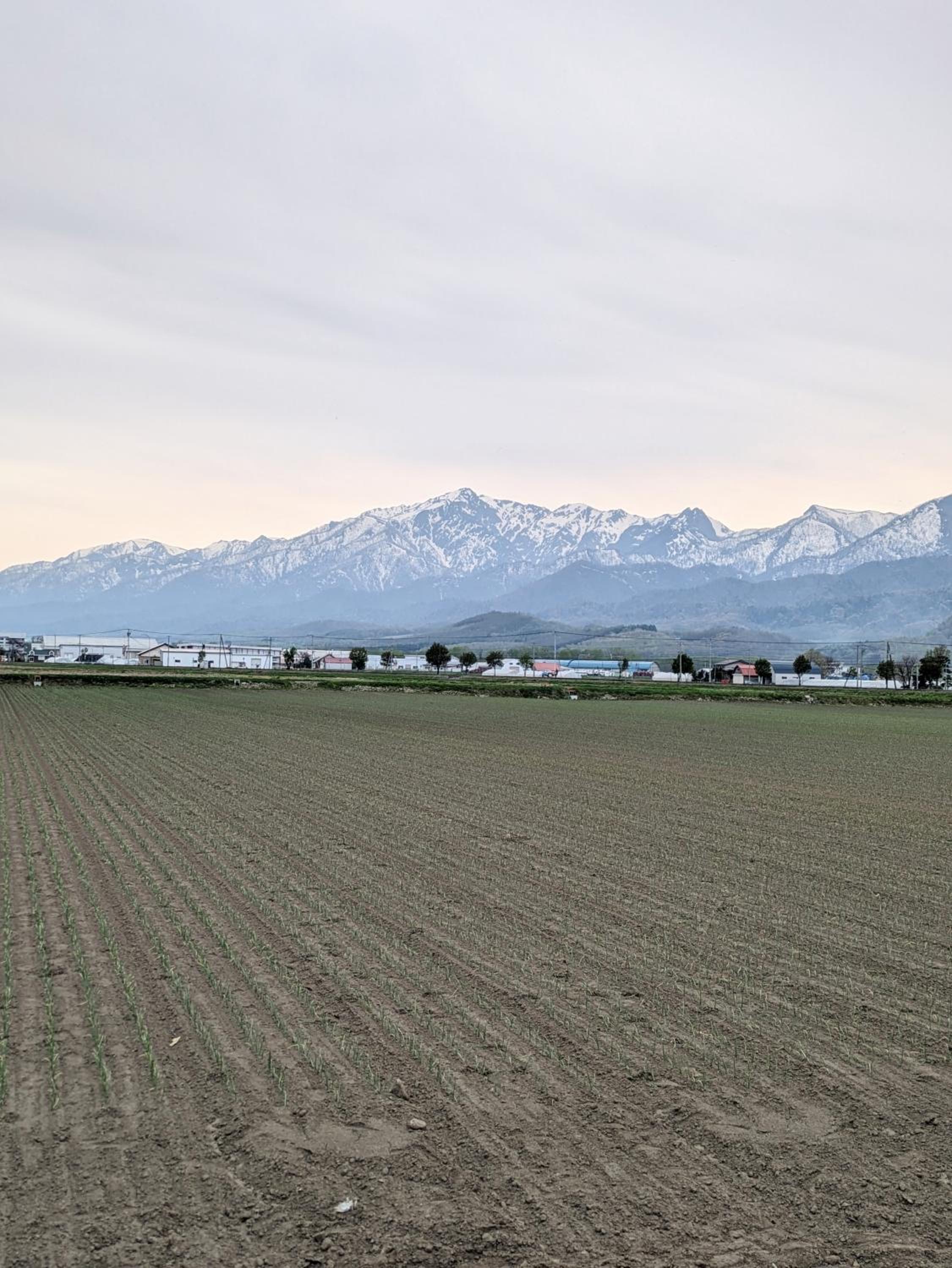 Photo 50