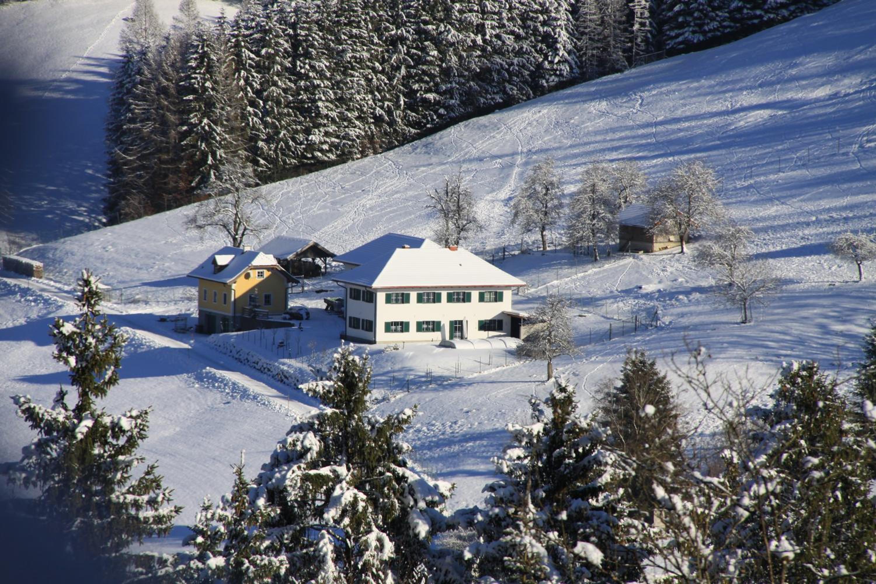Sommerholz