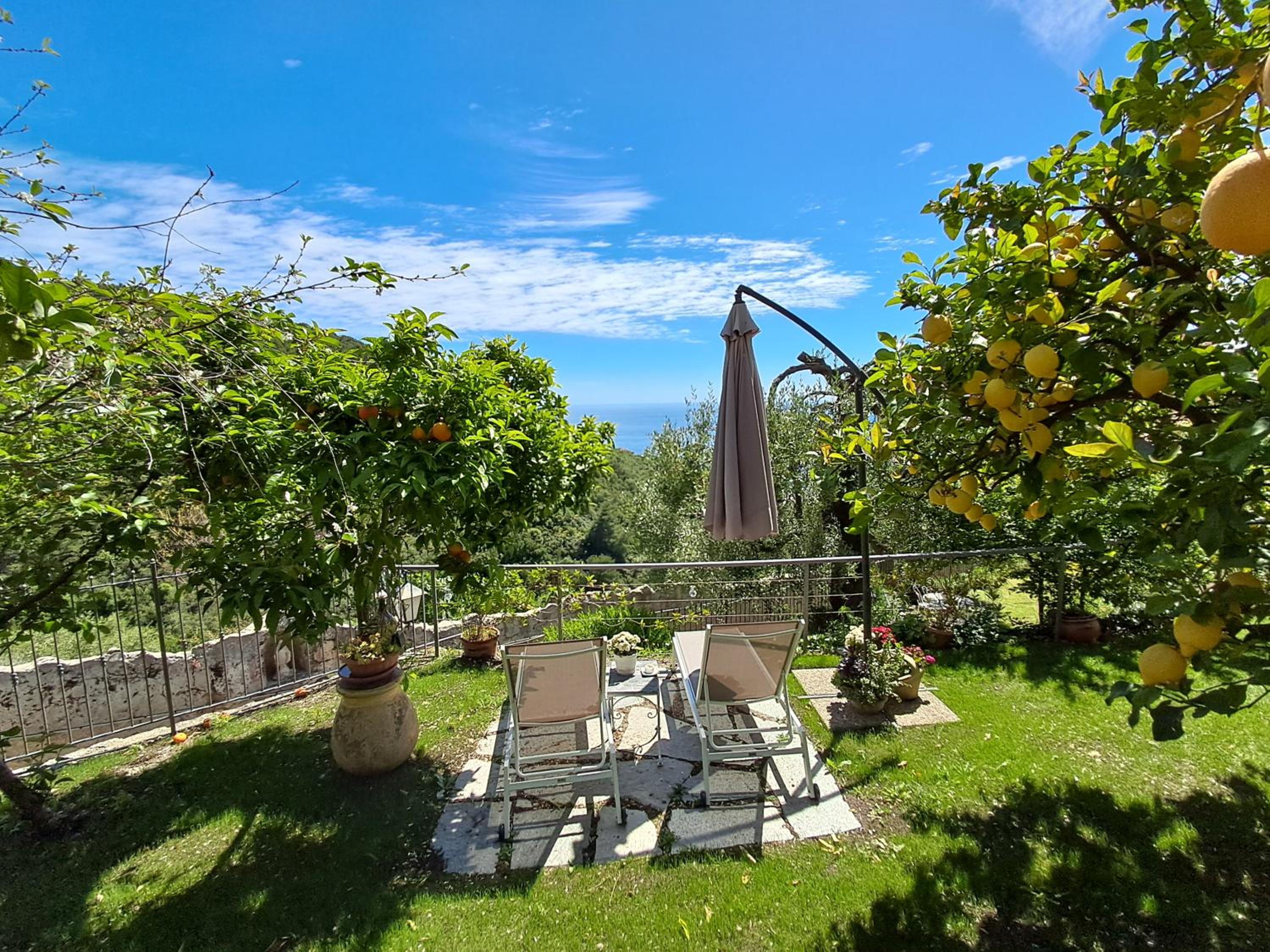 Florinda Lemon's Suite view 2