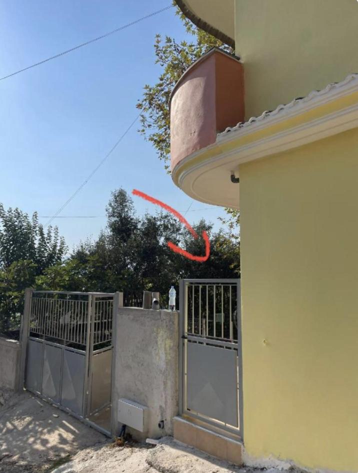 Bujtina DHULI photo 4