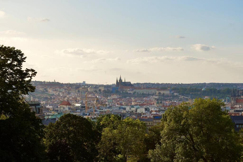 Apartment in Prague's Best Local Area