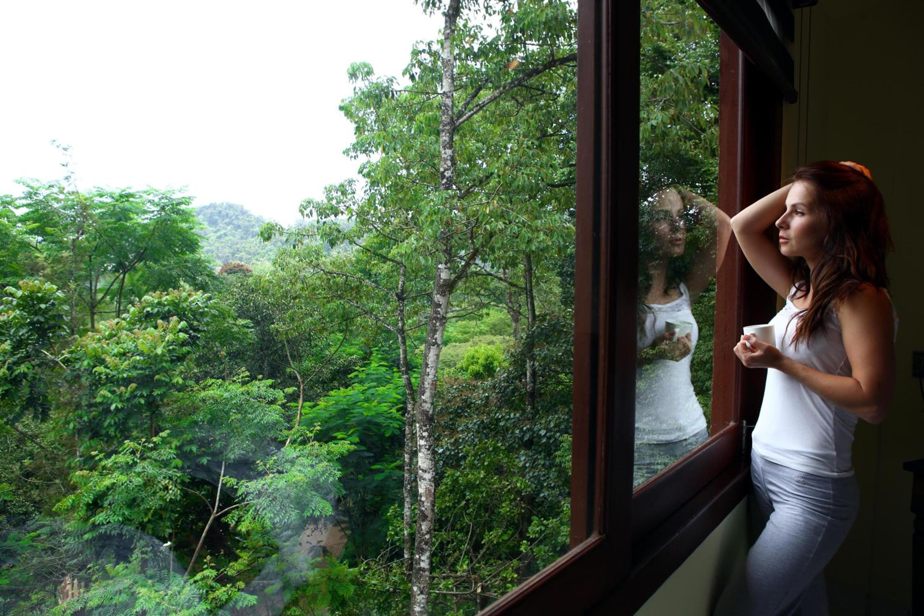 Vythiri Village