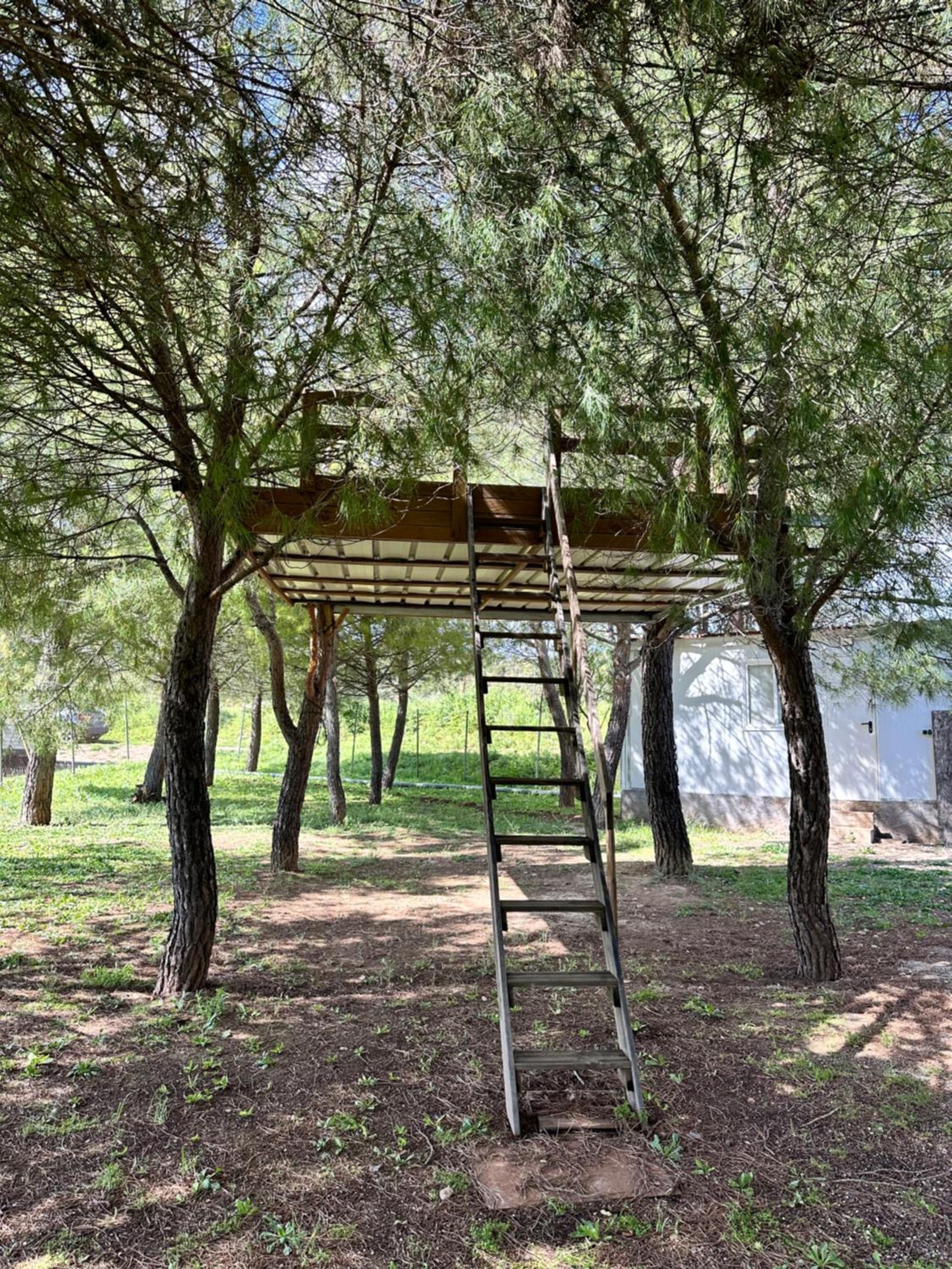 Bungalow BAMBOLERA