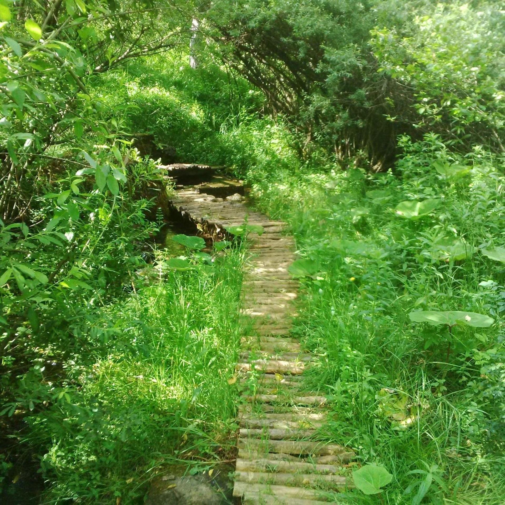 Photo 18