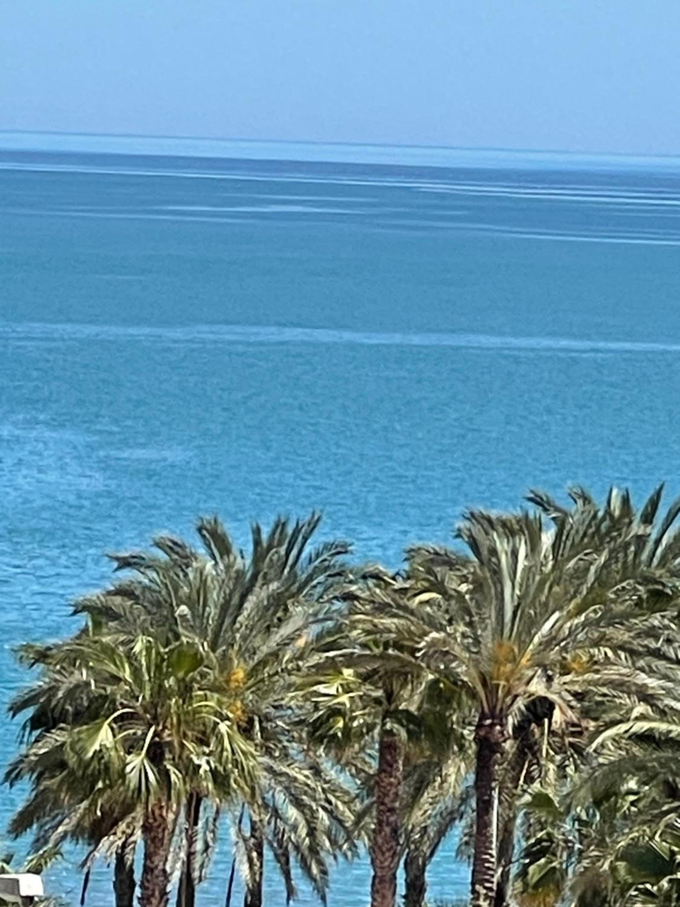 La Paloma - Girón