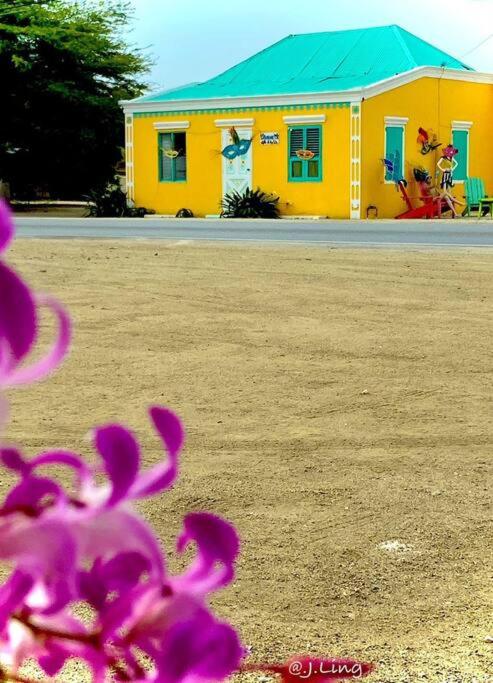 Quiet and cozy cunuco guesthouse in Savaneta