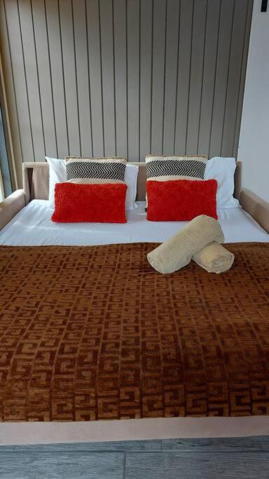 Quiet and cozy cunuco guesthouse in Savaneta