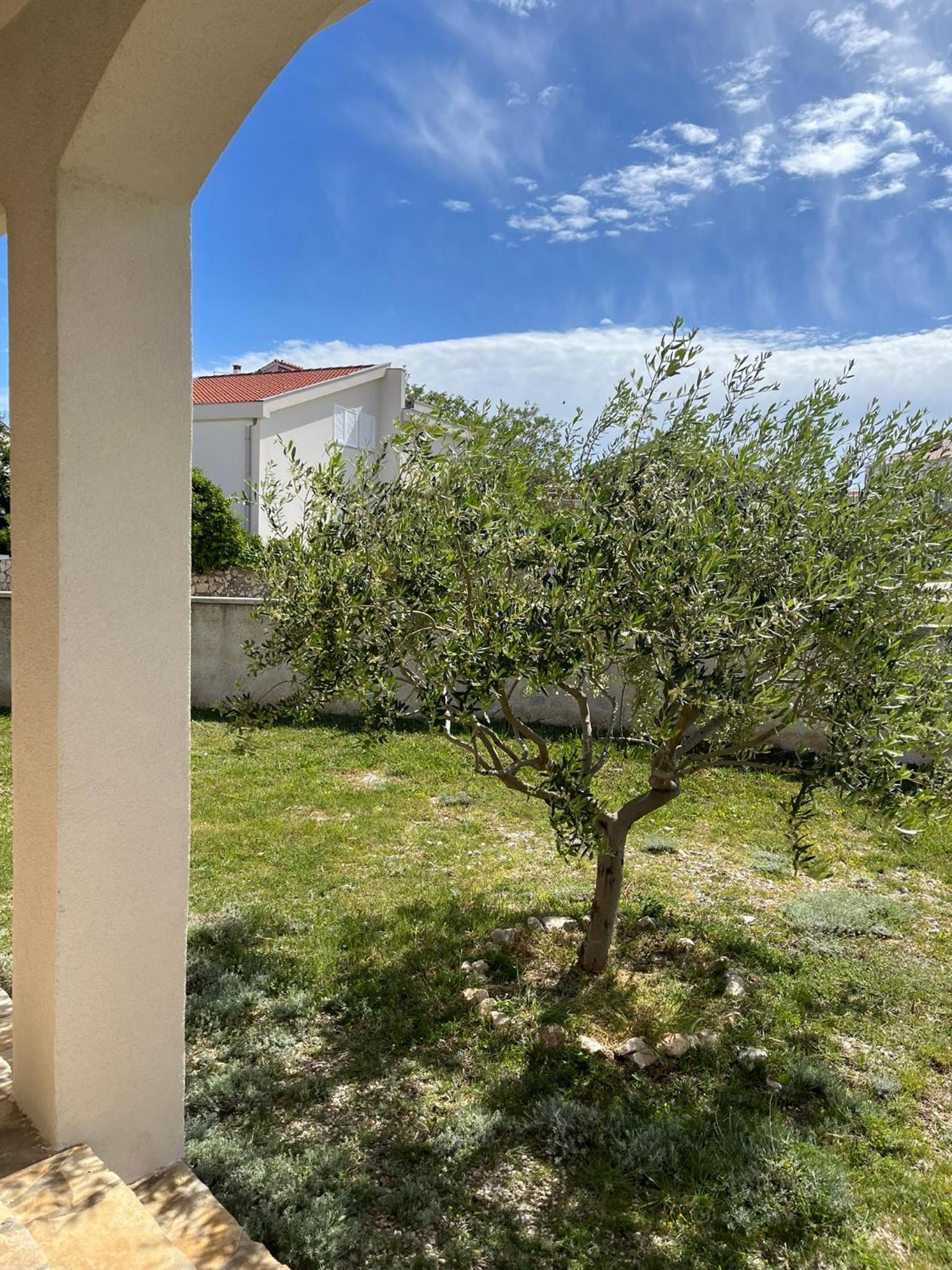 Apartmani Jakovinović