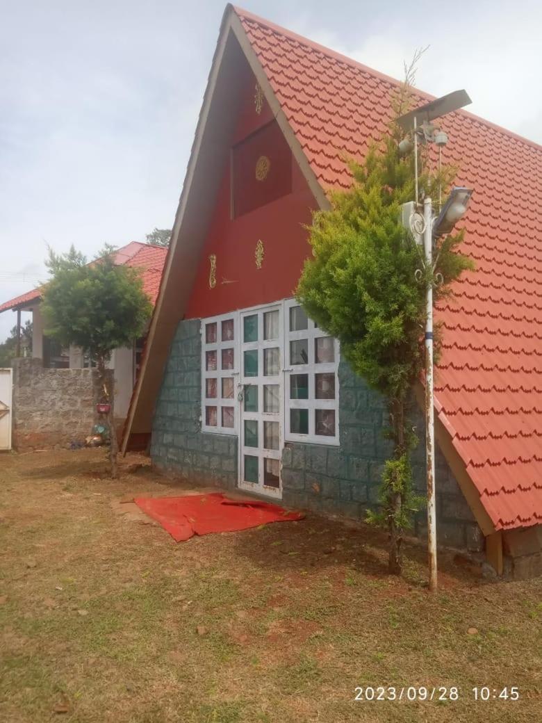 Green hut house view 3