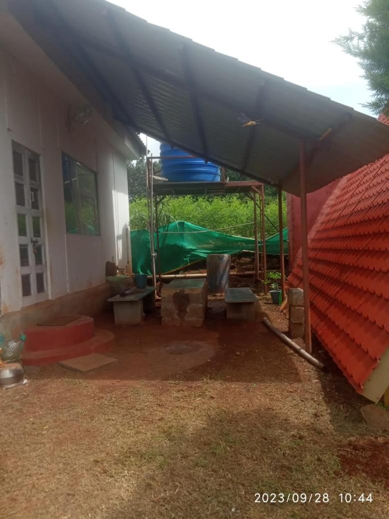 Green hut house view 5