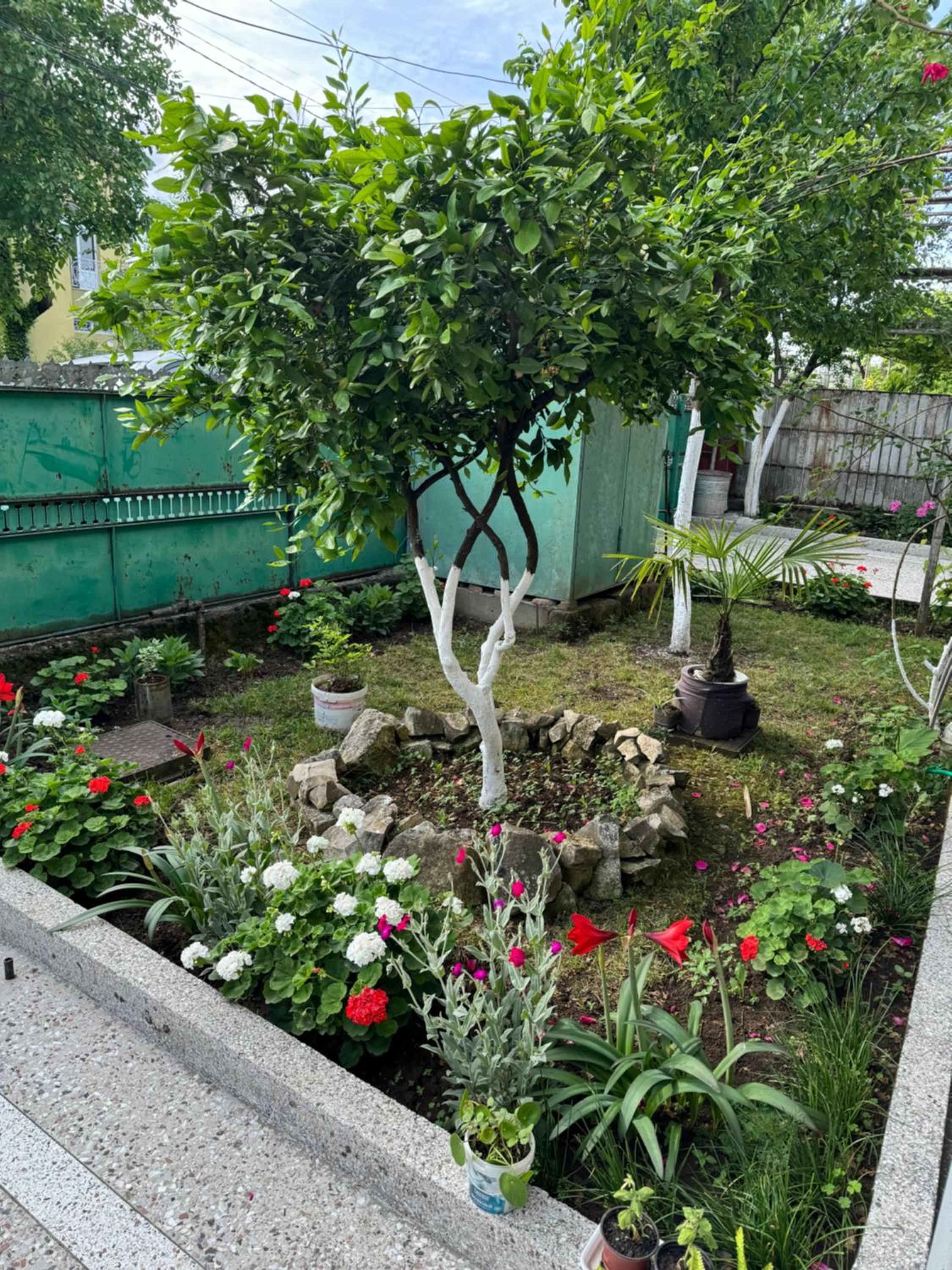 Photo 6