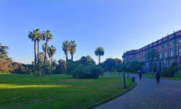 Chez Bois - Suite Apartment Capodimonte