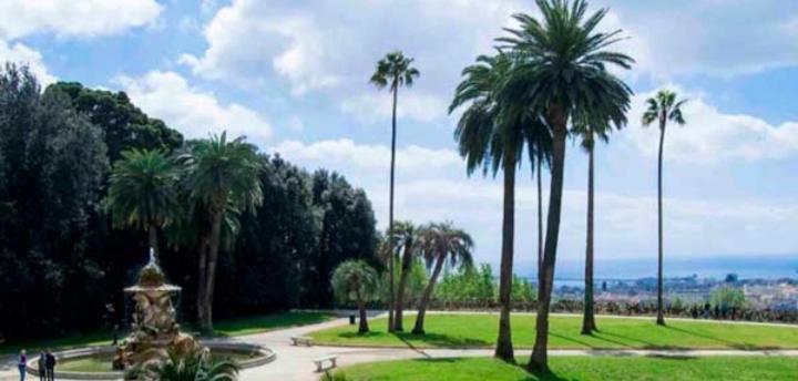 Chez Bois - Suite Apartment Capodimonte