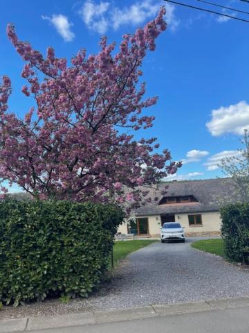Le gîte de la Champagne