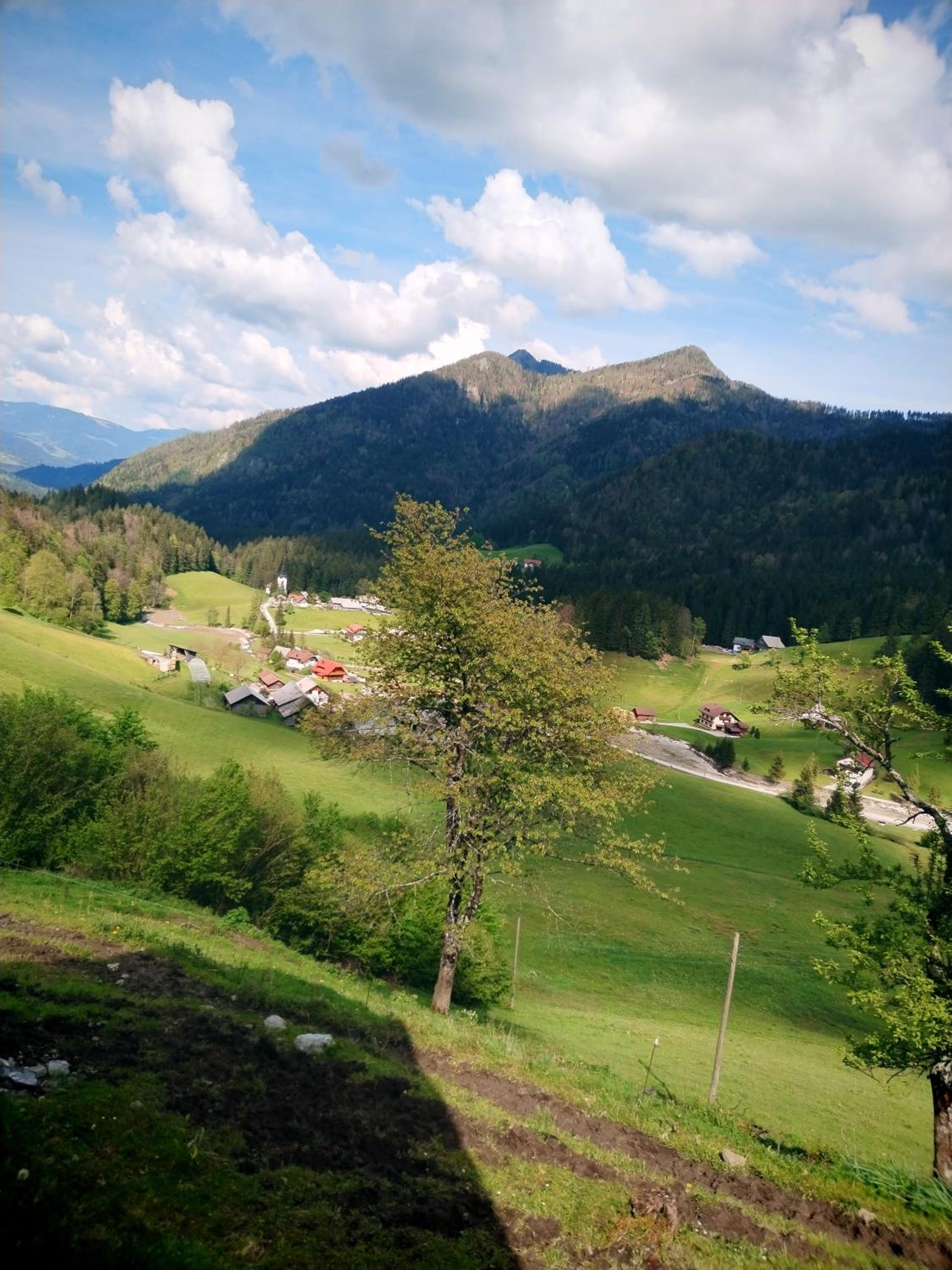 POČITNIŠKA HIŠKA LASTOVKA view 5