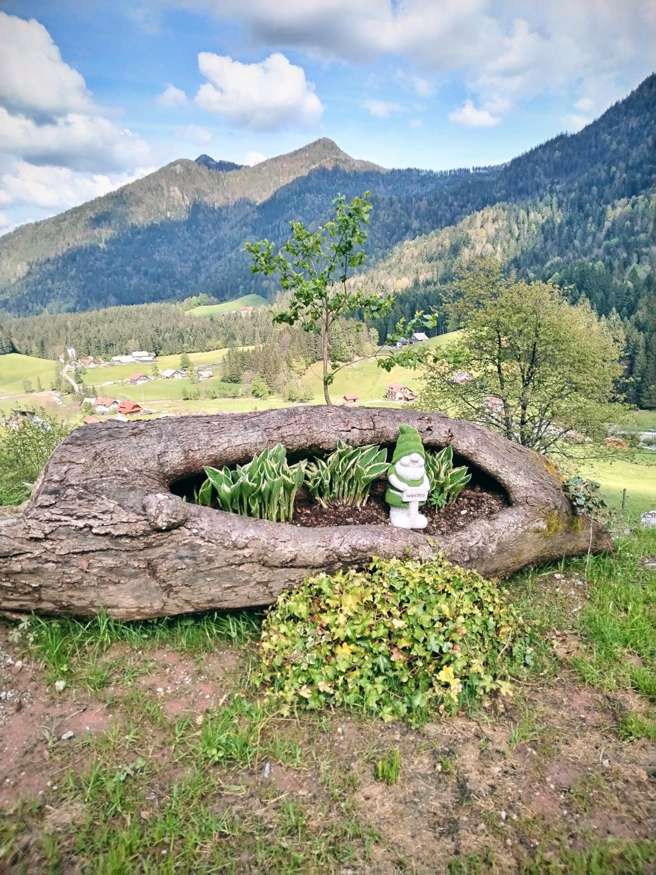 POČITNIŠKA HIŠKA LASTOVKA view 3