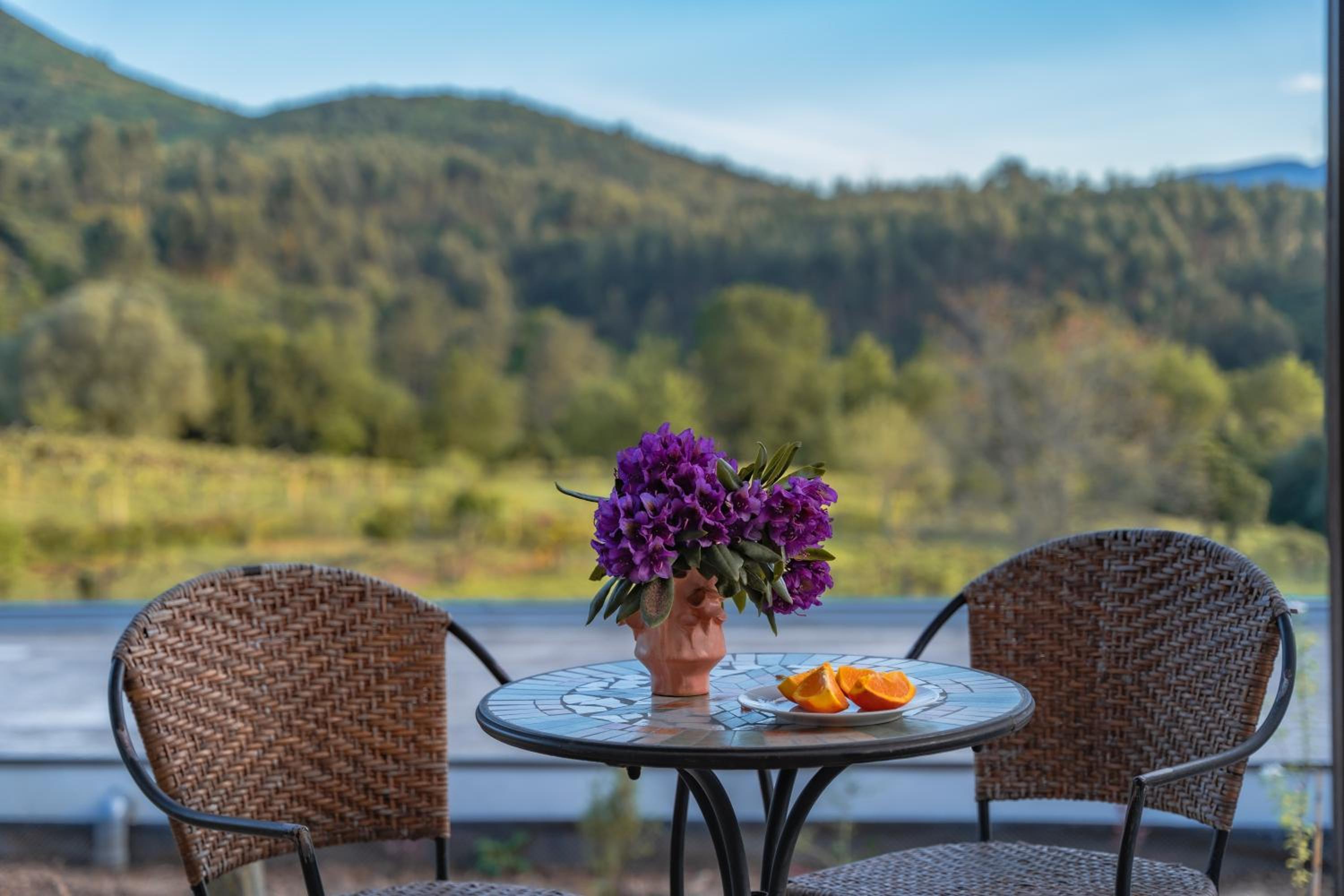 balance & terrace