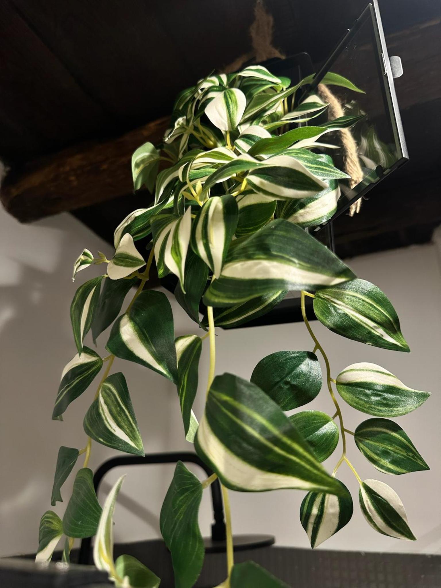 other