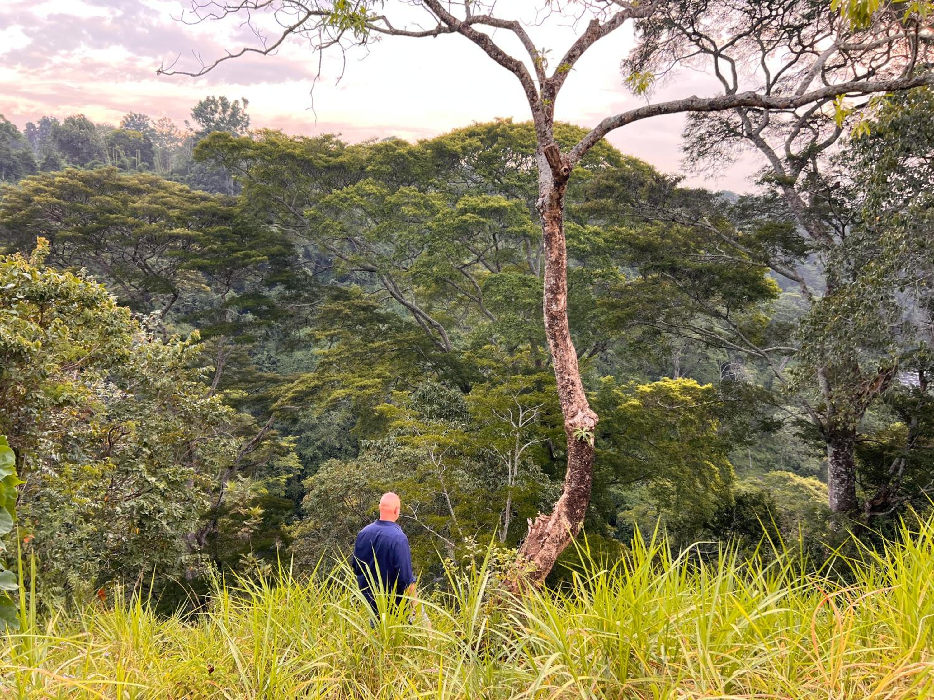 Kaliwa Lodge