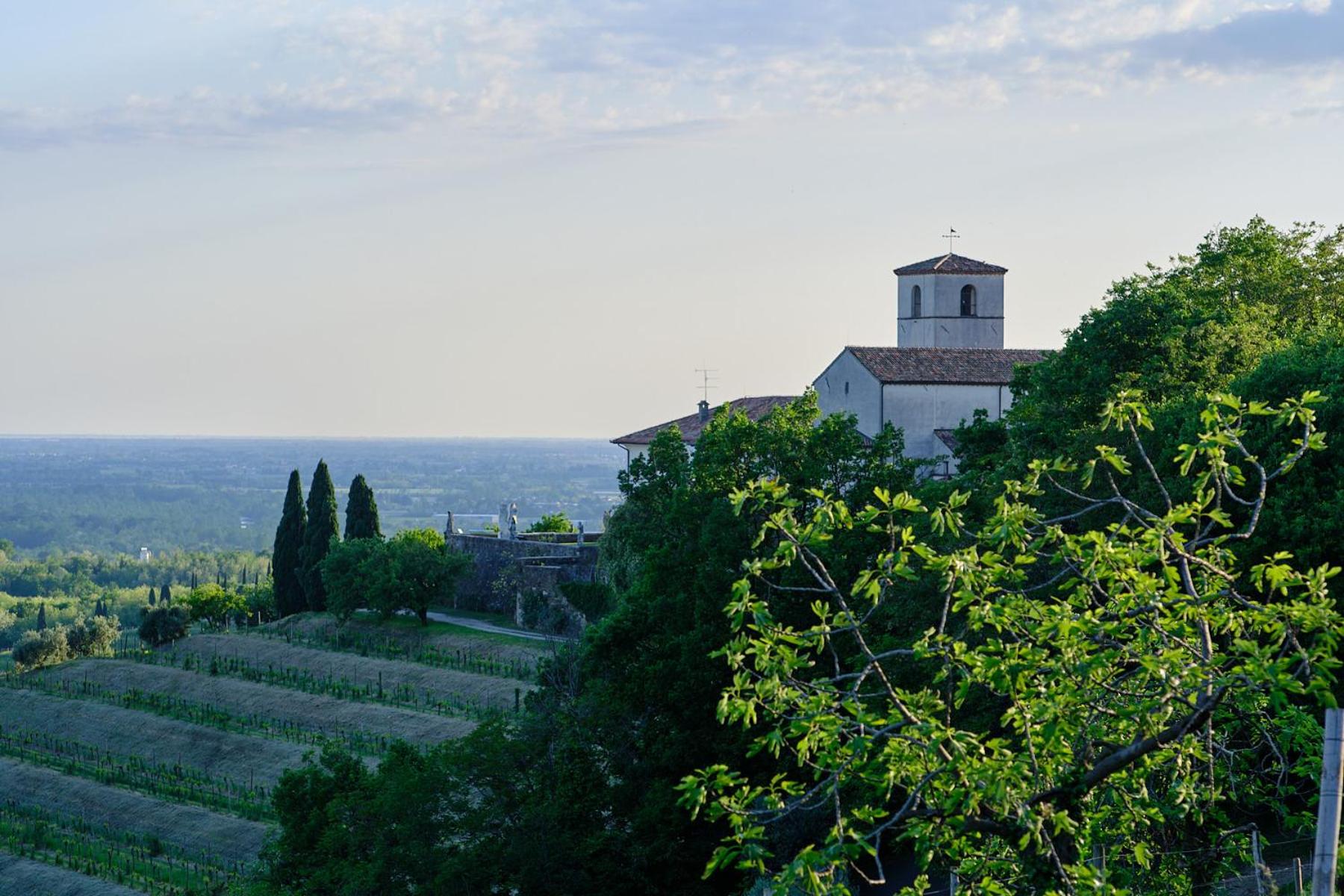 Le Badie Wine Resort view 4