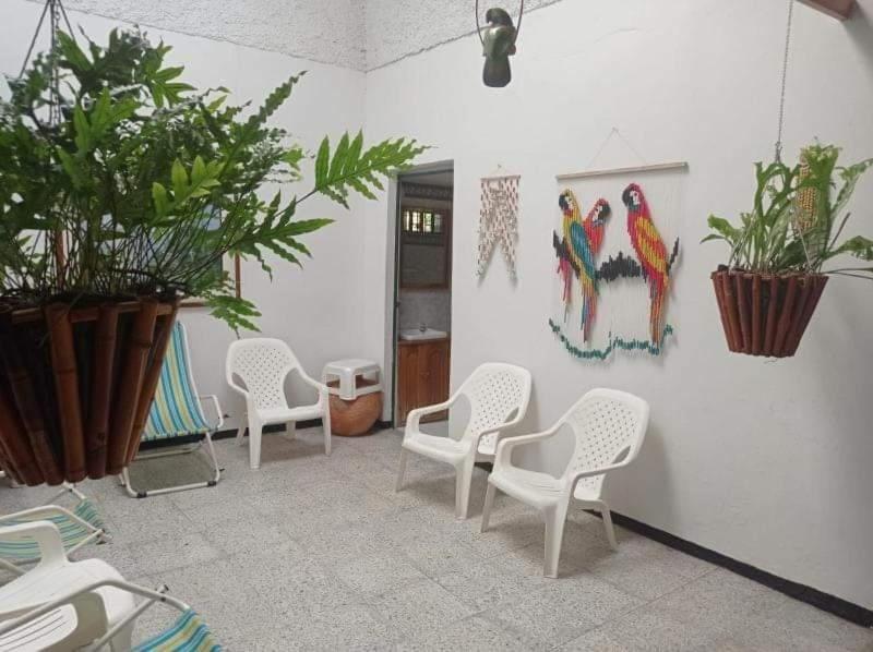 Tierra prometida
