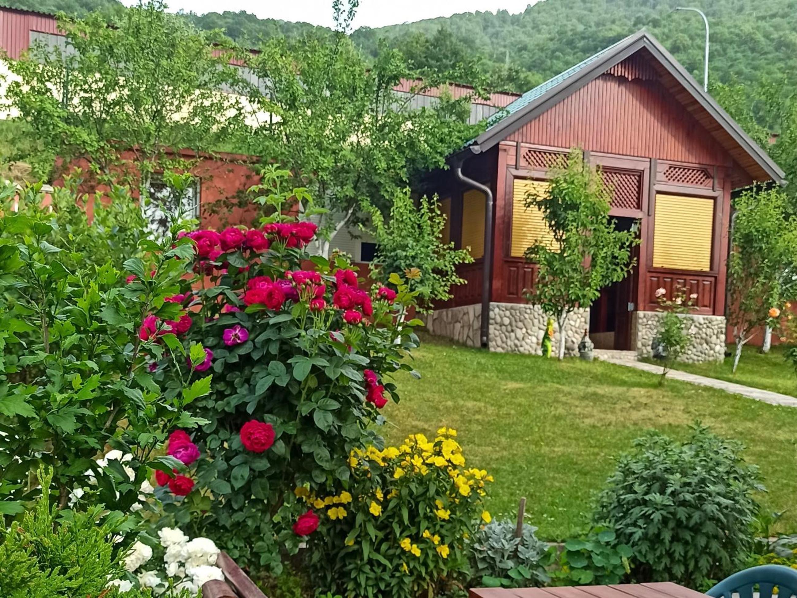 Photo 21