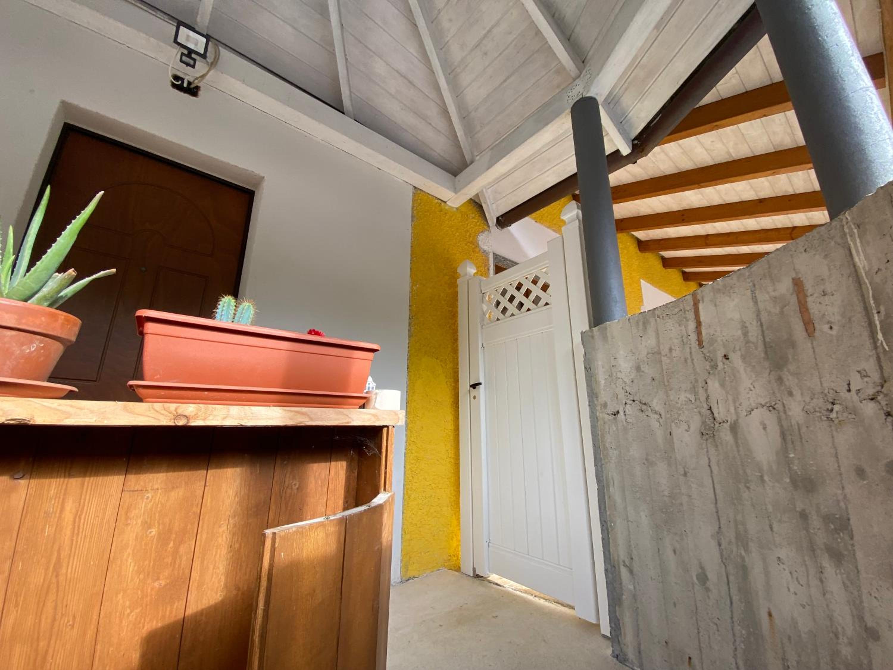 Horse room