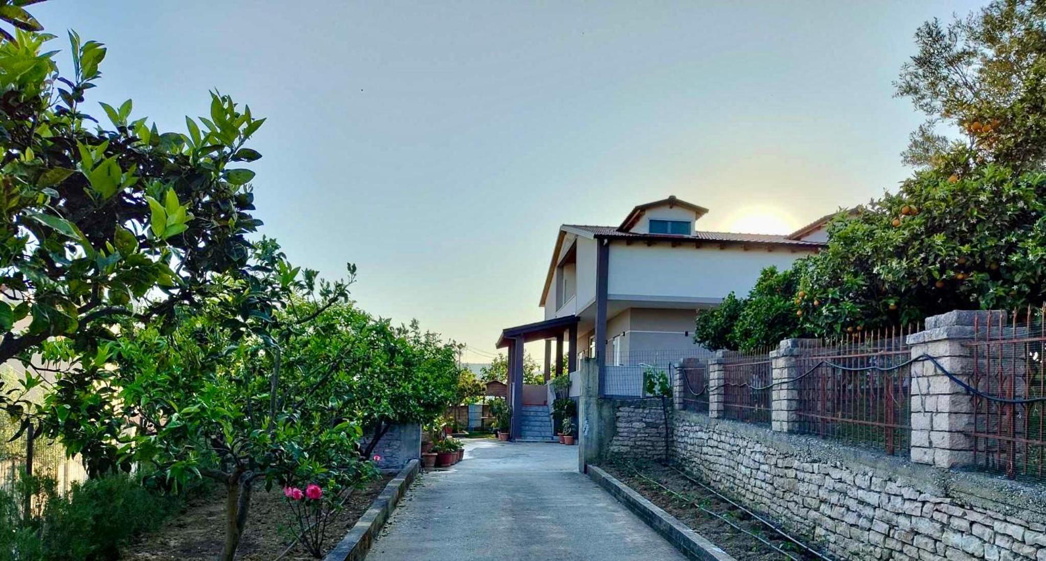 Wooden Guest House