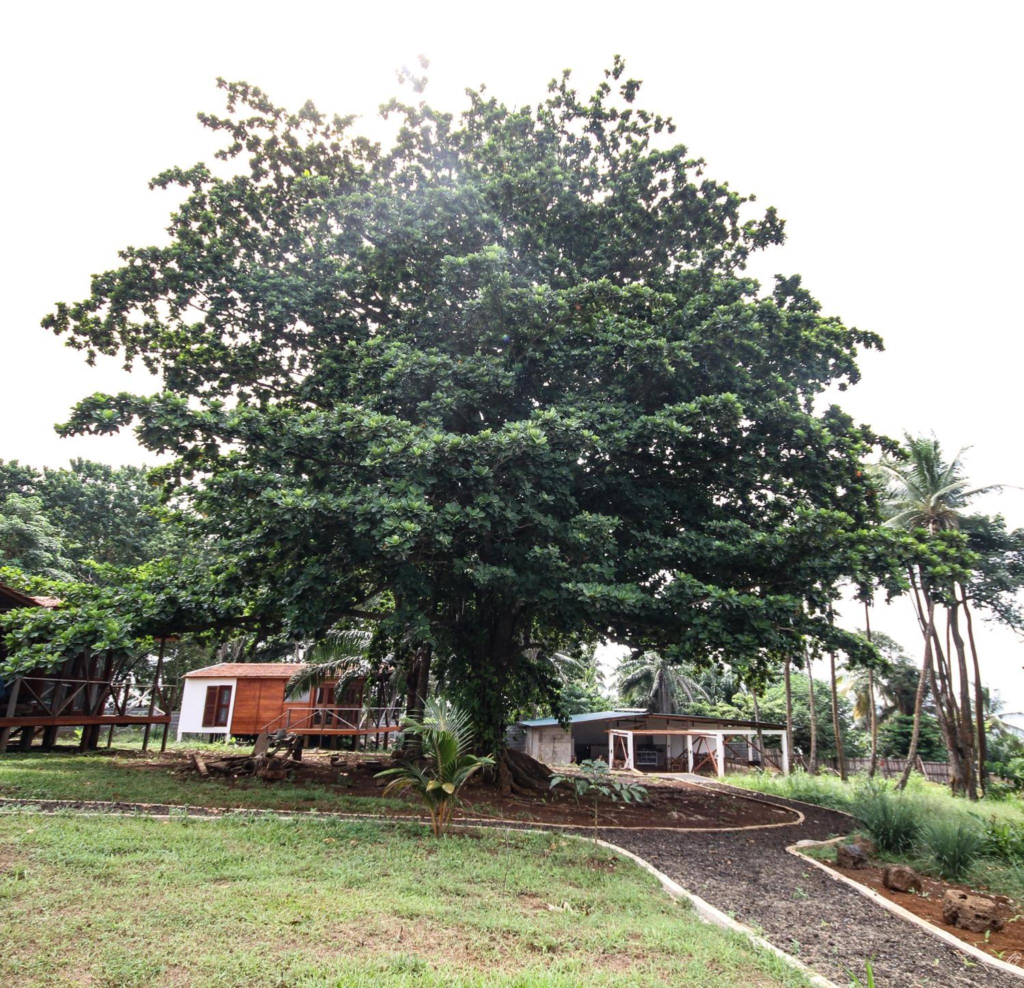 Photo 41