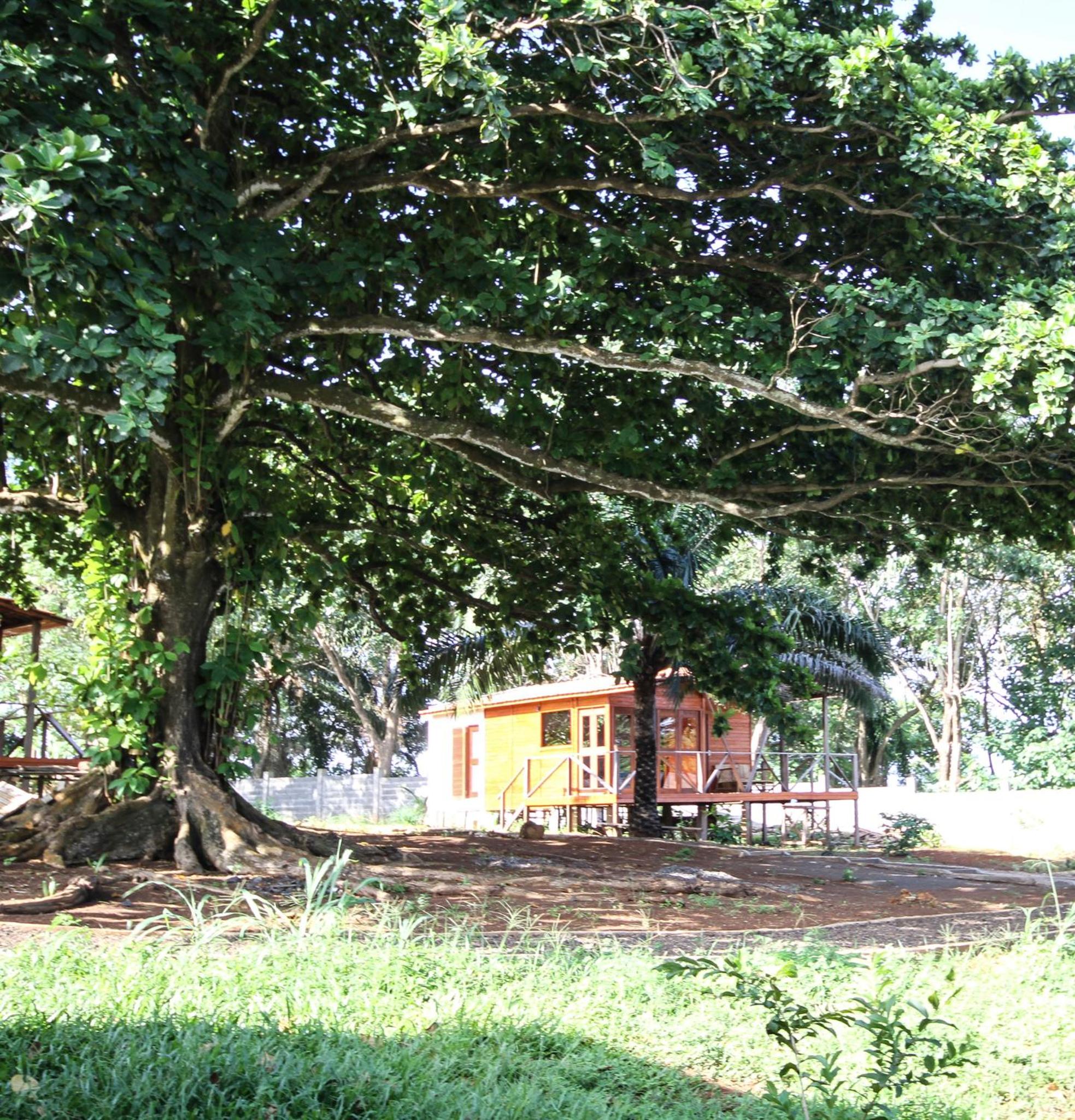 Photo 42