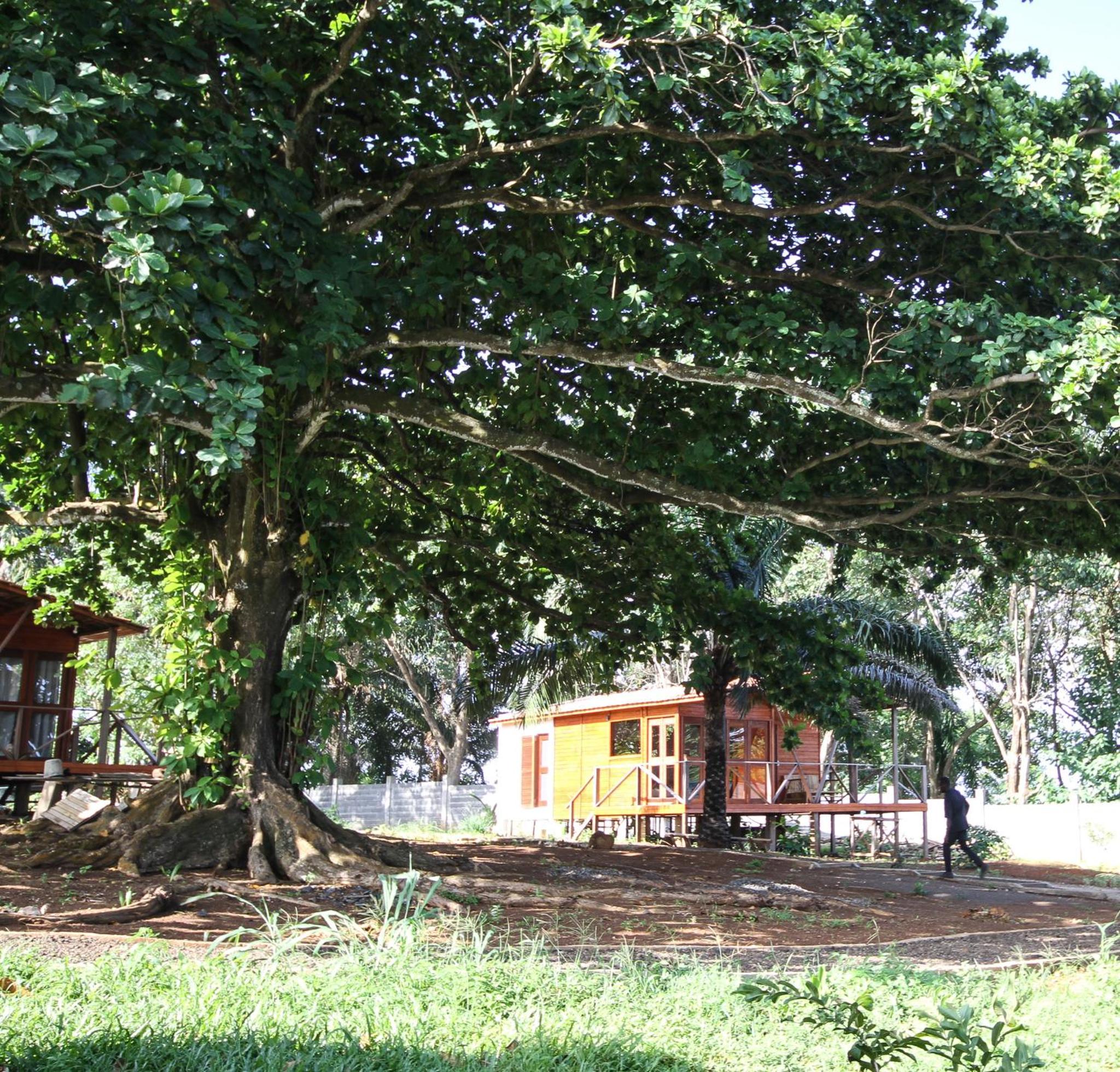 Photo 43