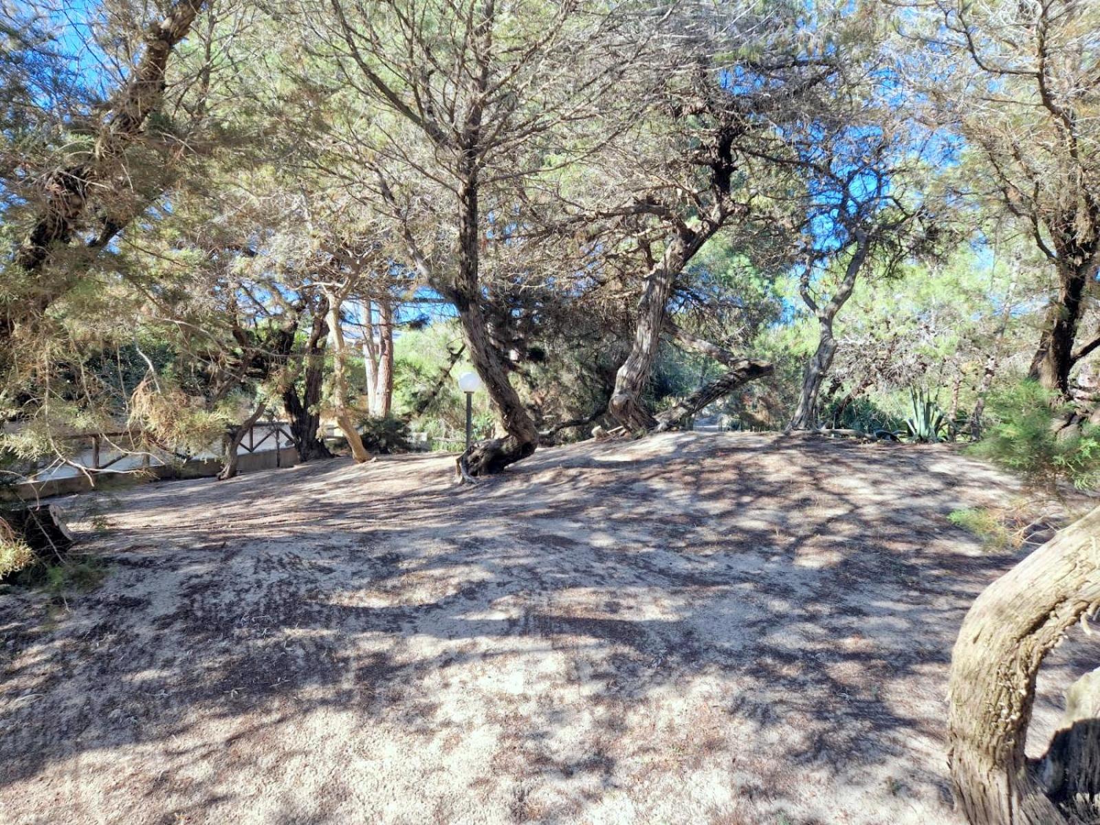 Photo 42