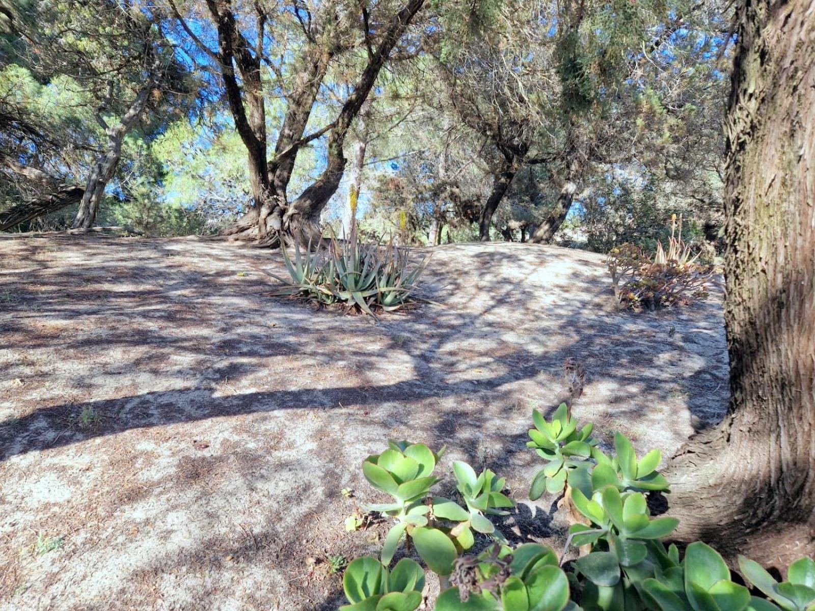 Photo 46