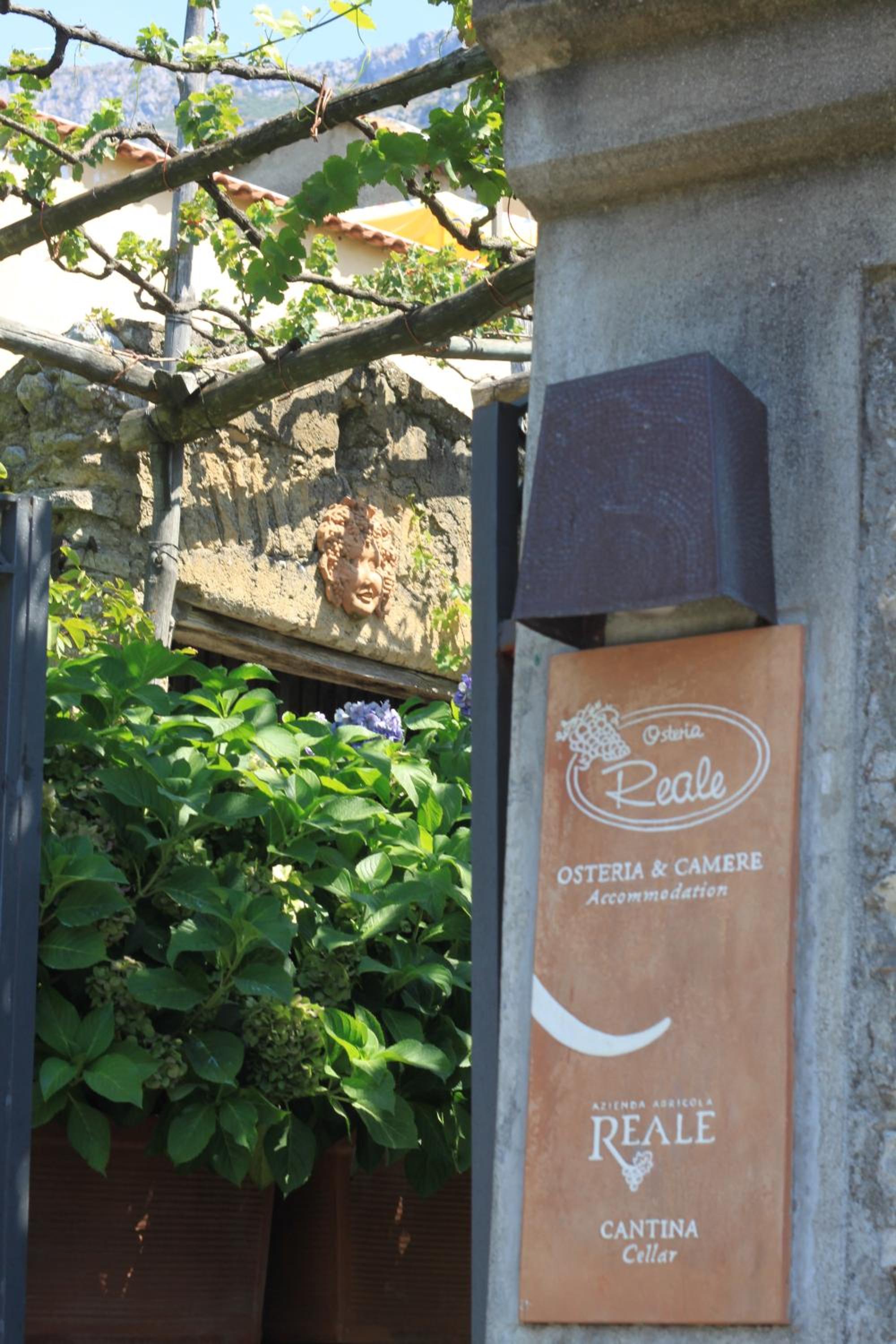 Reale Wine Resort photo 5