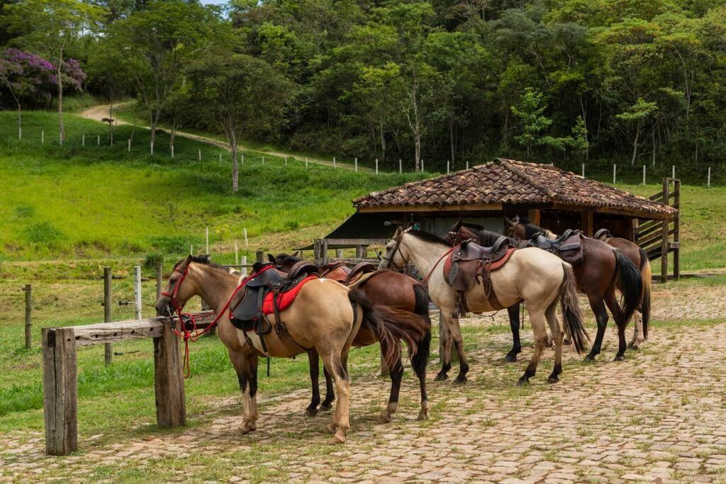Casa da Floresta - Ibitipoca