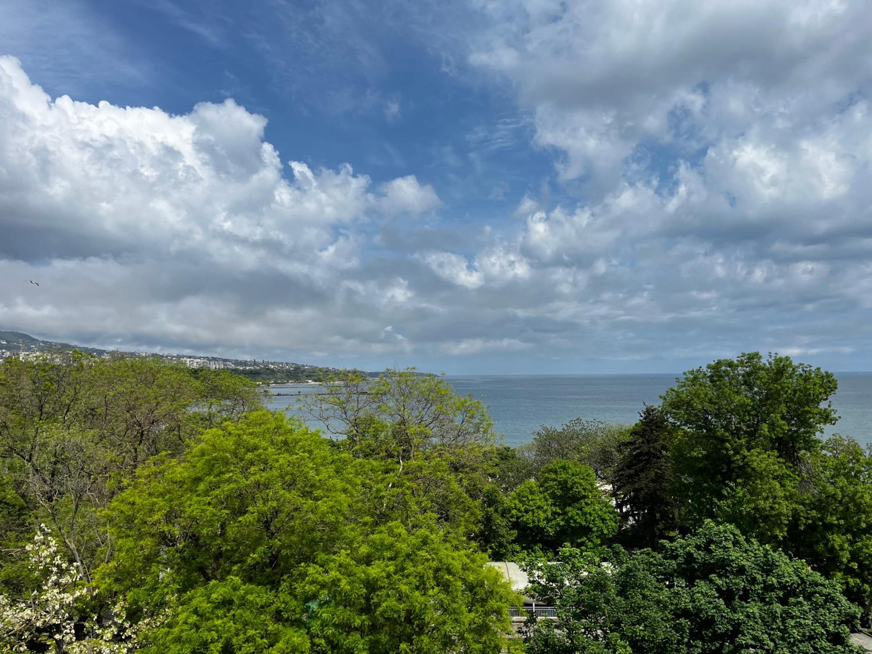 Glarus Apartment with Infinity Sea View