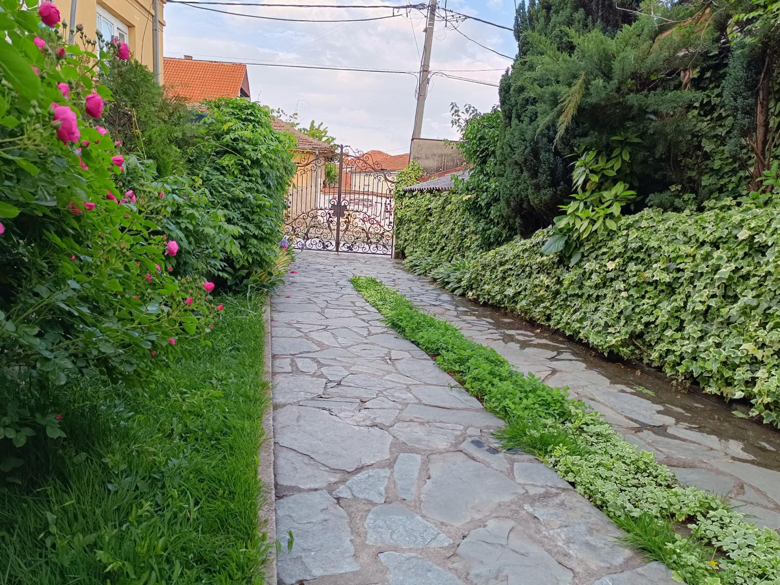 Photo 38