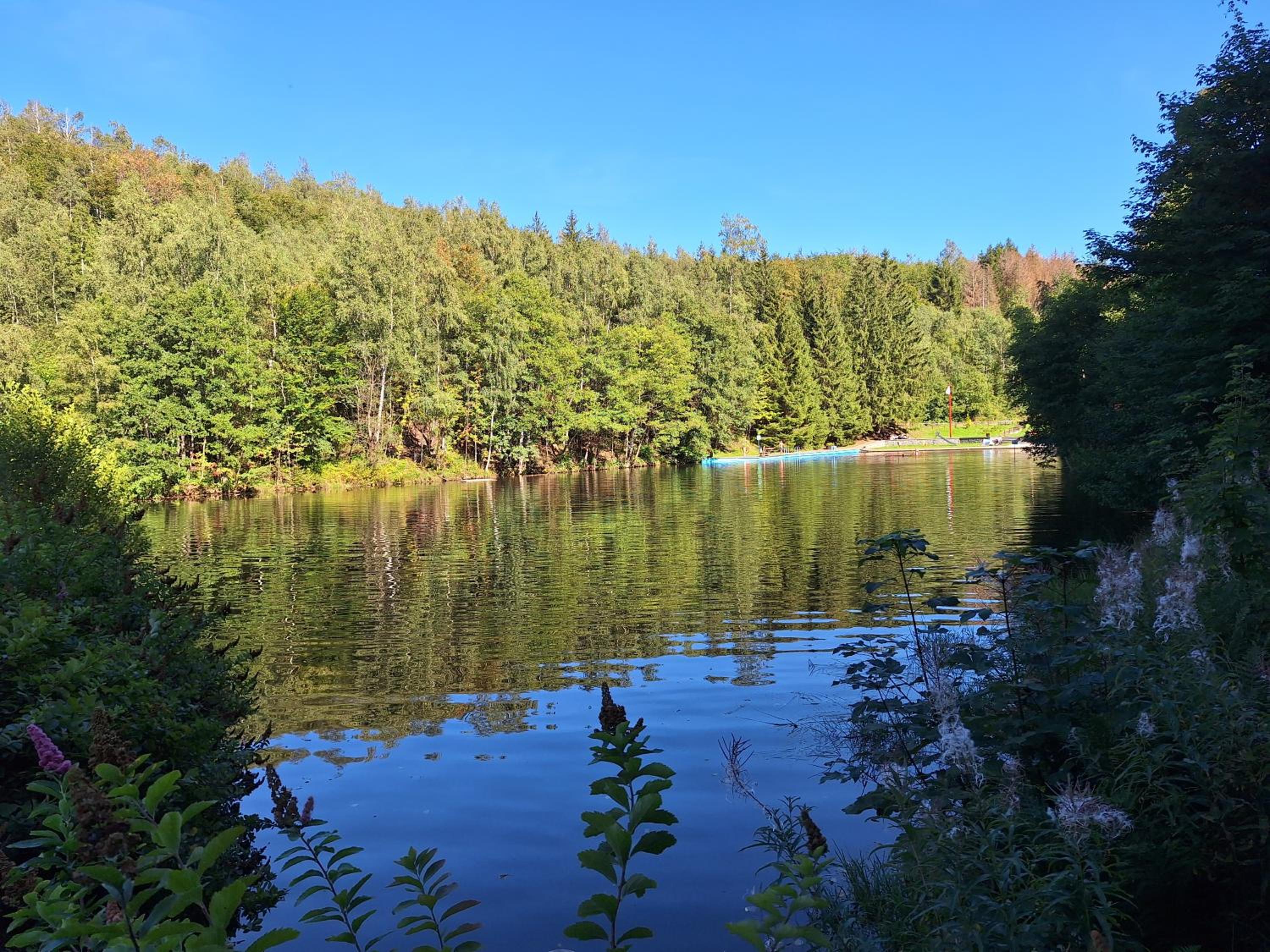 Luxus-Wohnung am Nationalpark Harz für Aktivurlaub