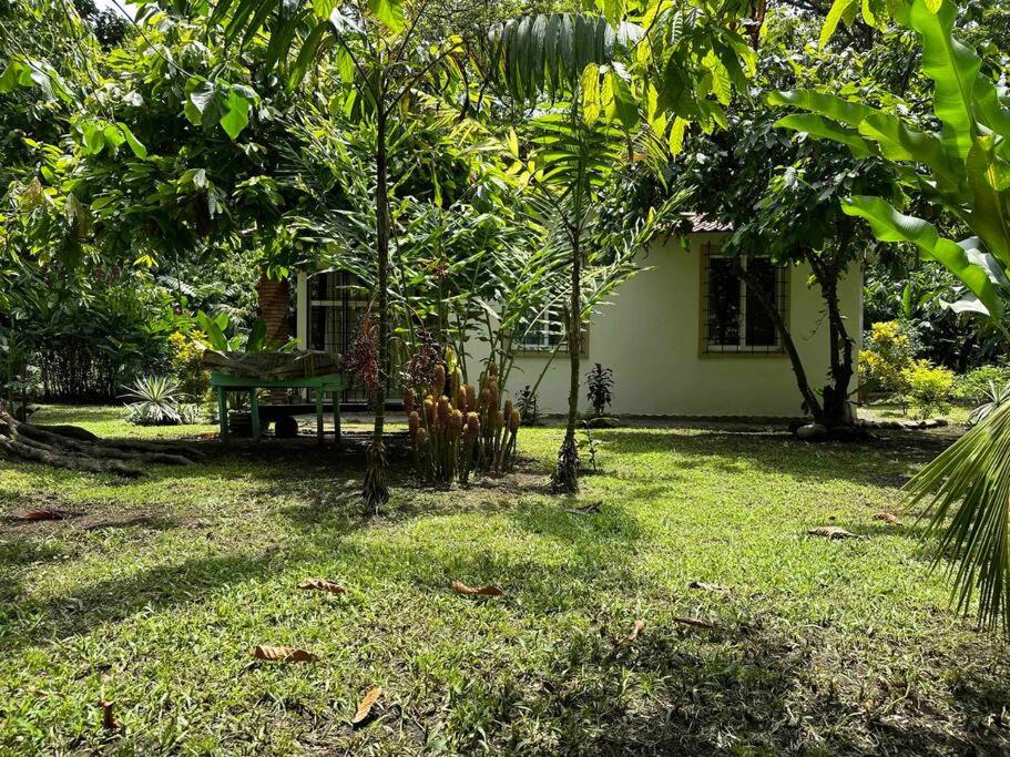 Photo 20