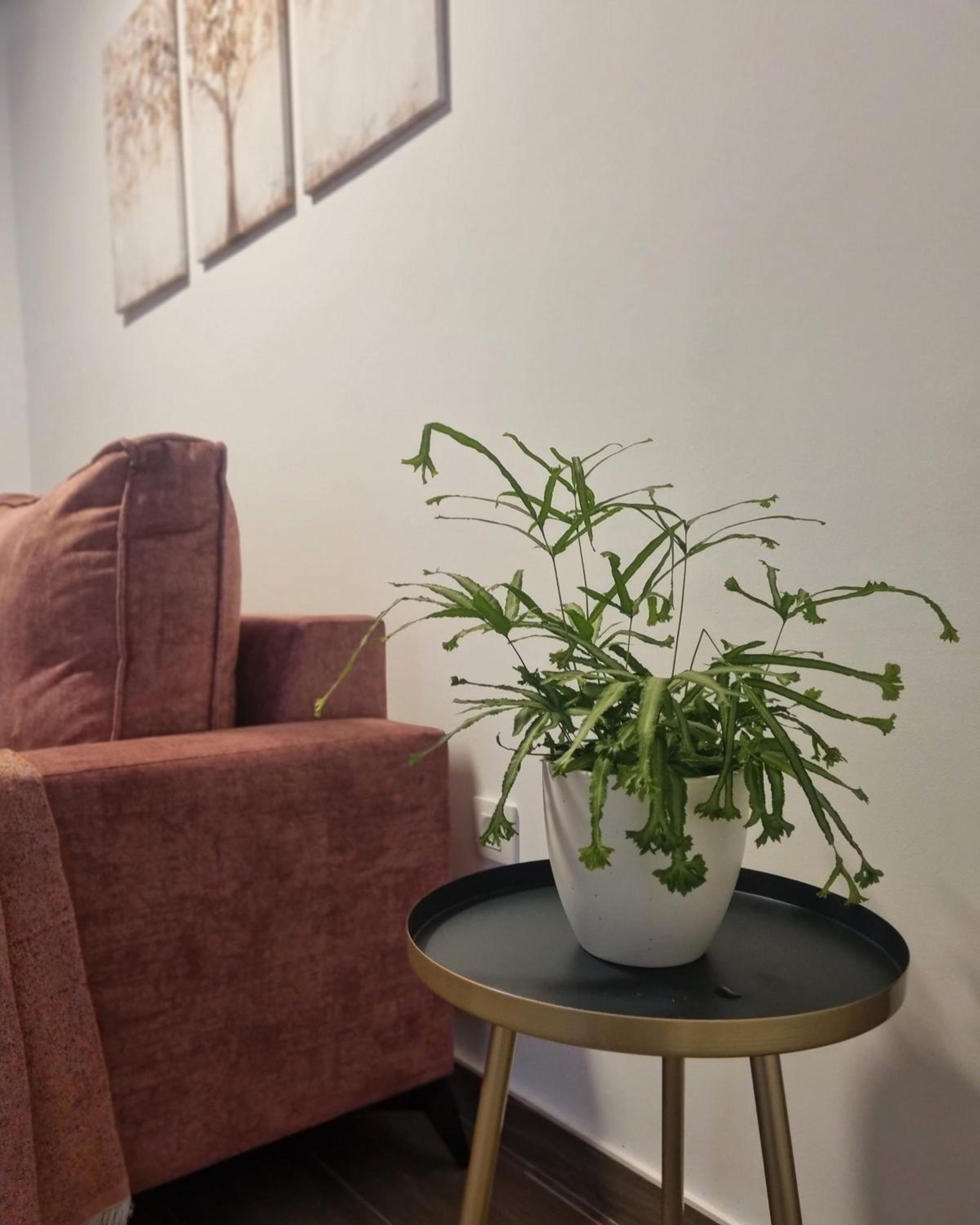 Apartamentos La Vera de Gredos