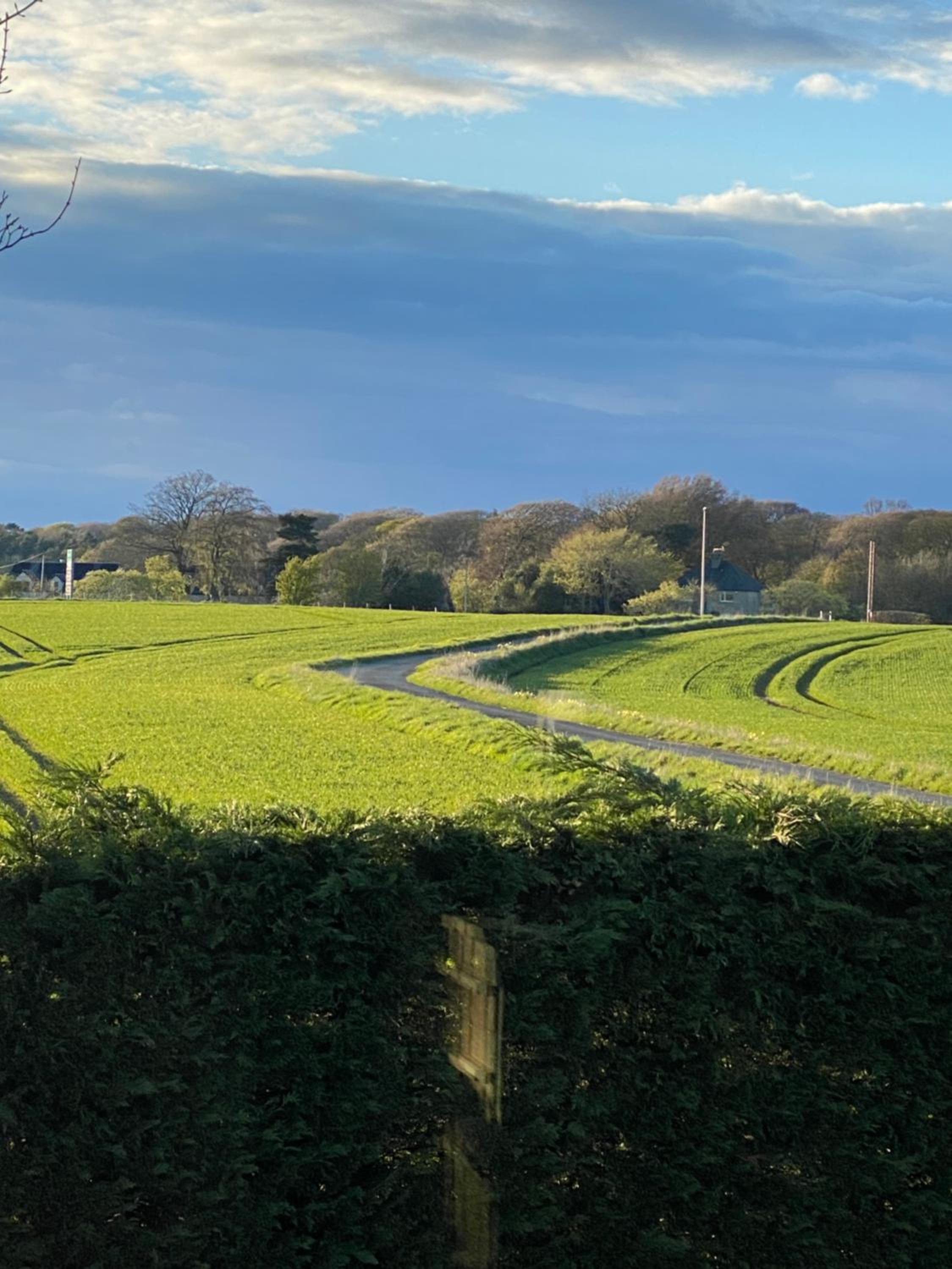 WHITEHILL STABLES