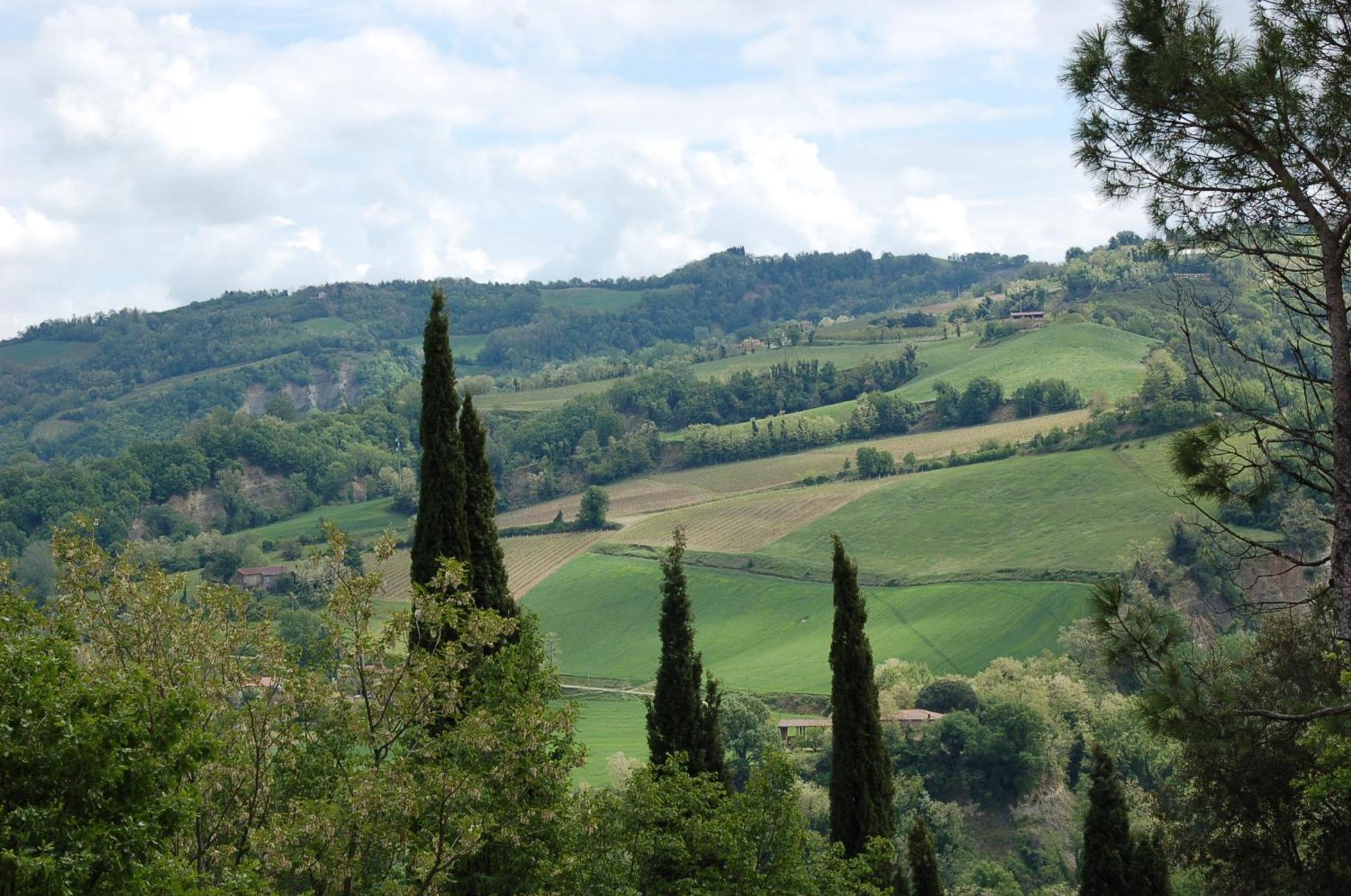 Casinello - Home for Outdoorsy view 5
