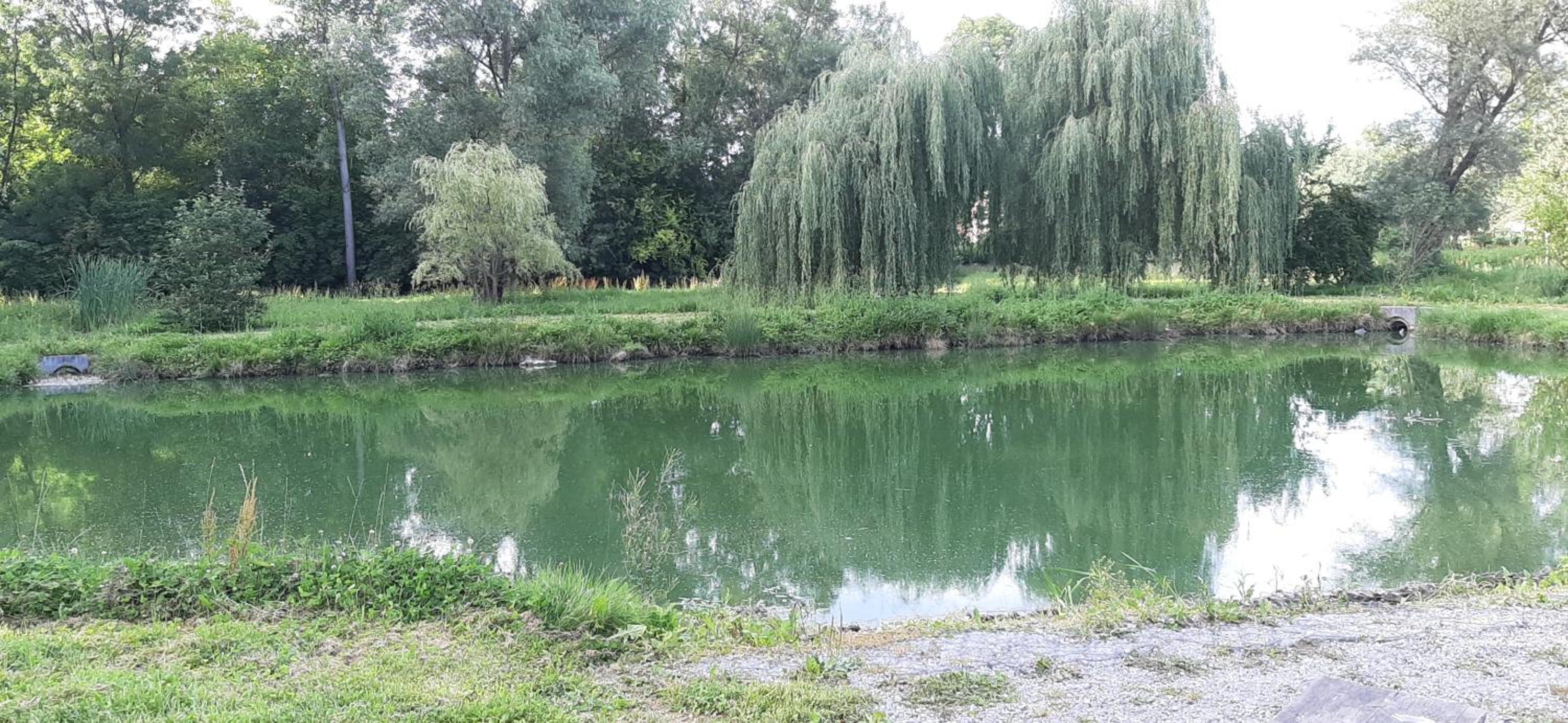 Photo 26