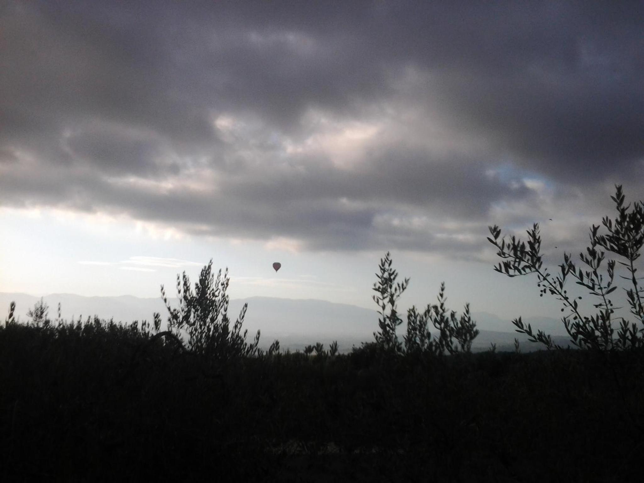 Photo 36
