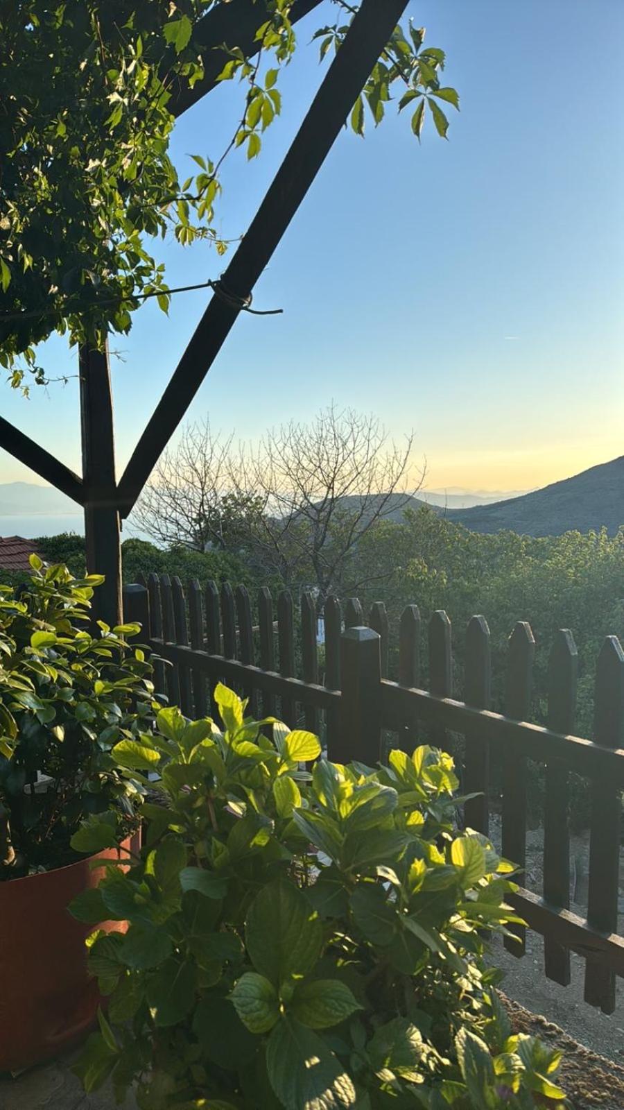 Meni's House view 5