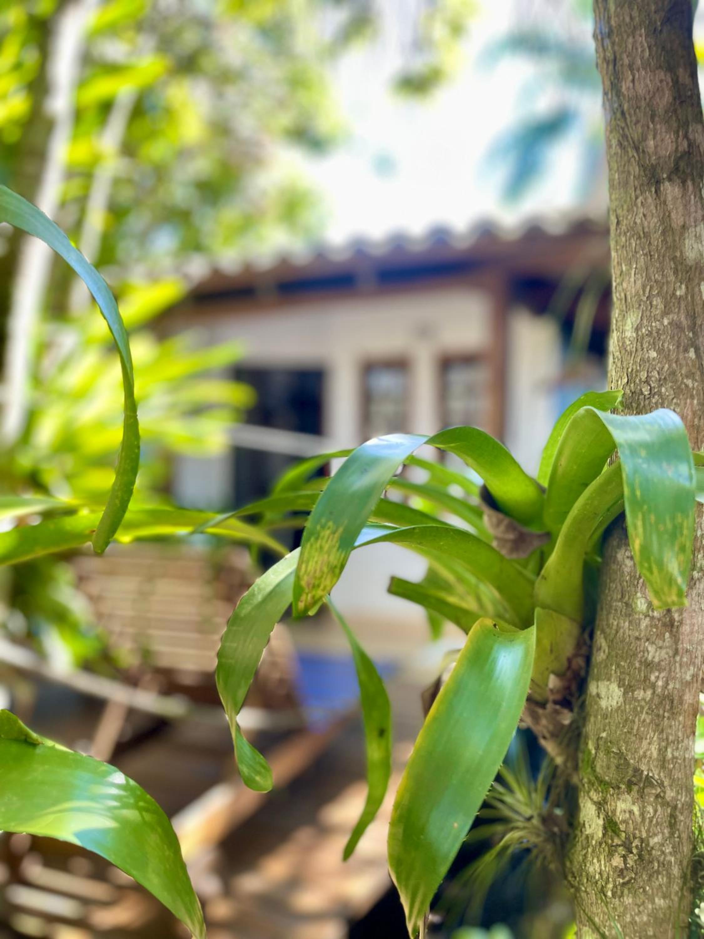 Casa Jardim Bangalos