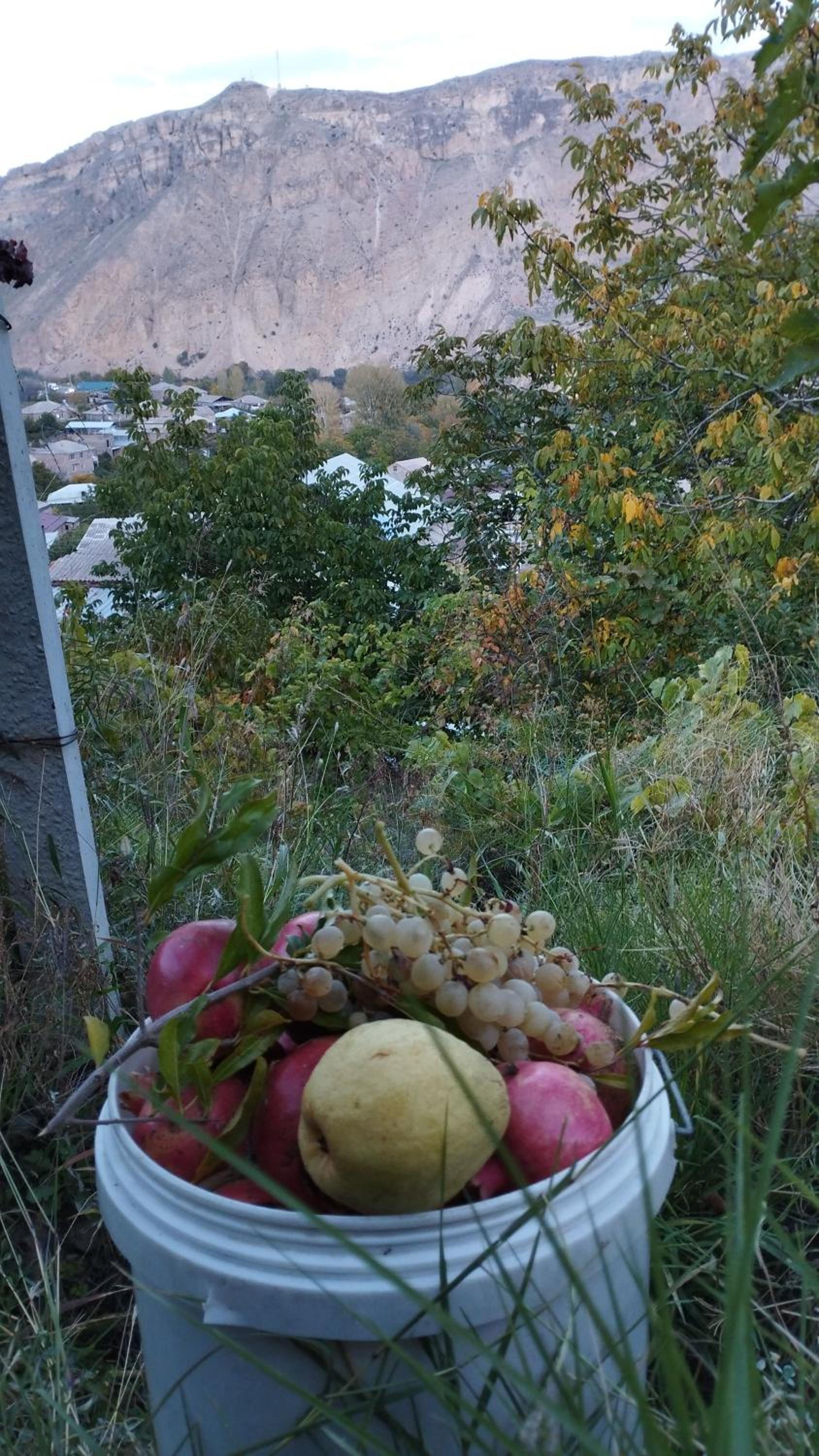 Sargsyan Guest House